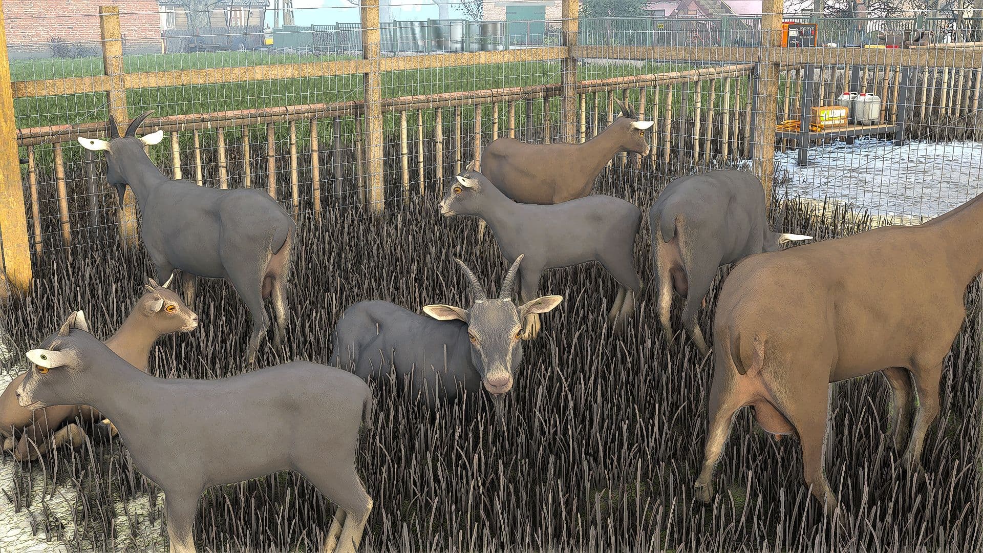 Shader KAFENCO 4