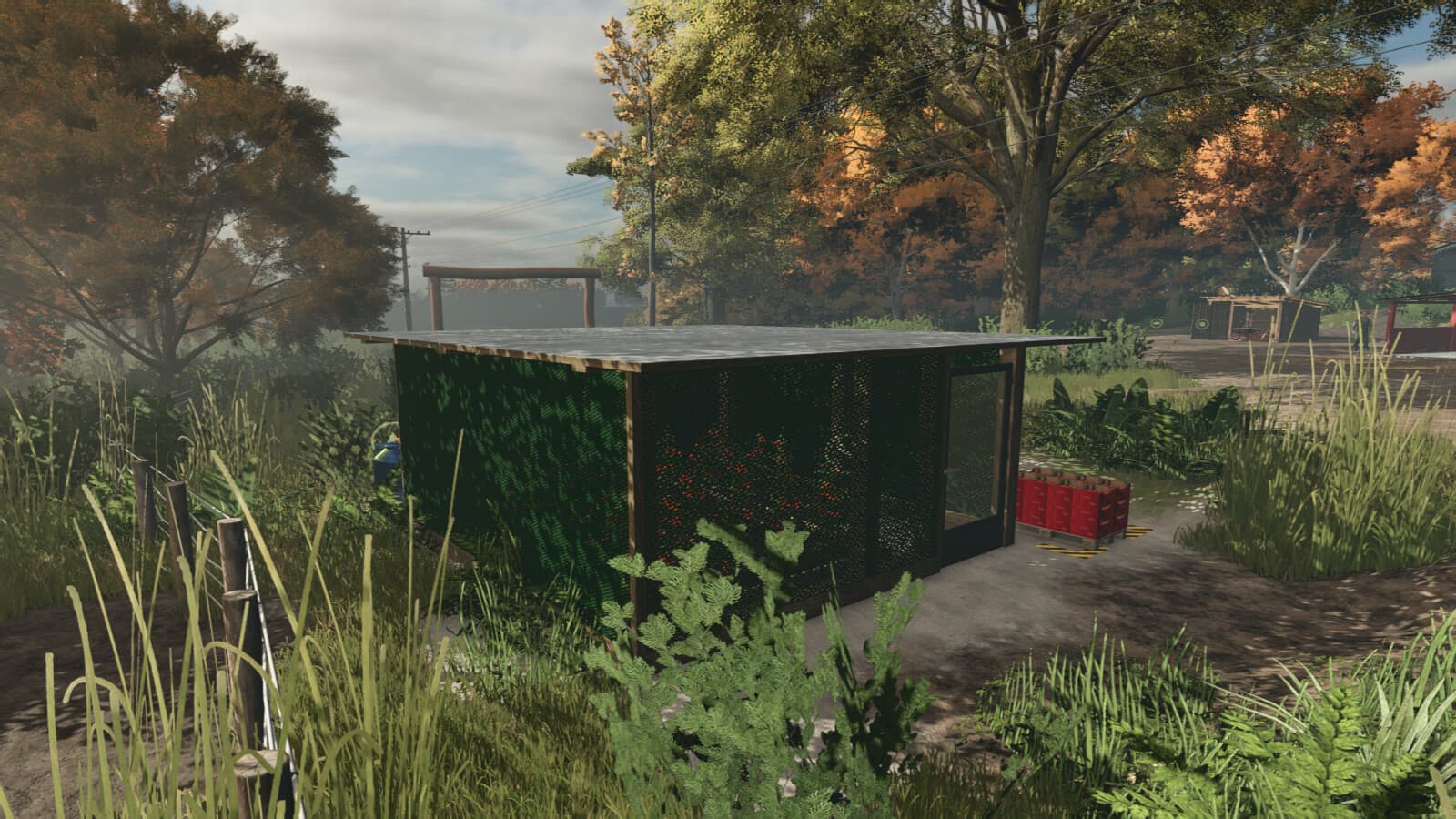 Small Greenhouse BR 4