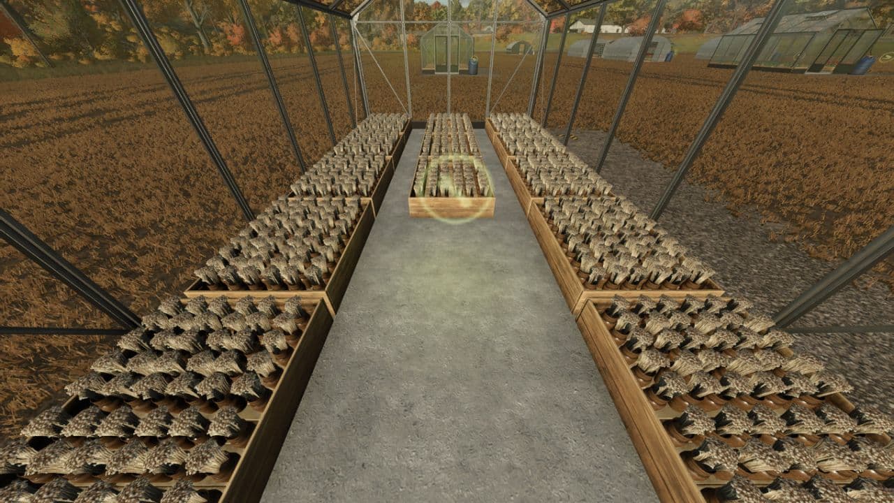 Small Greenhouses 6