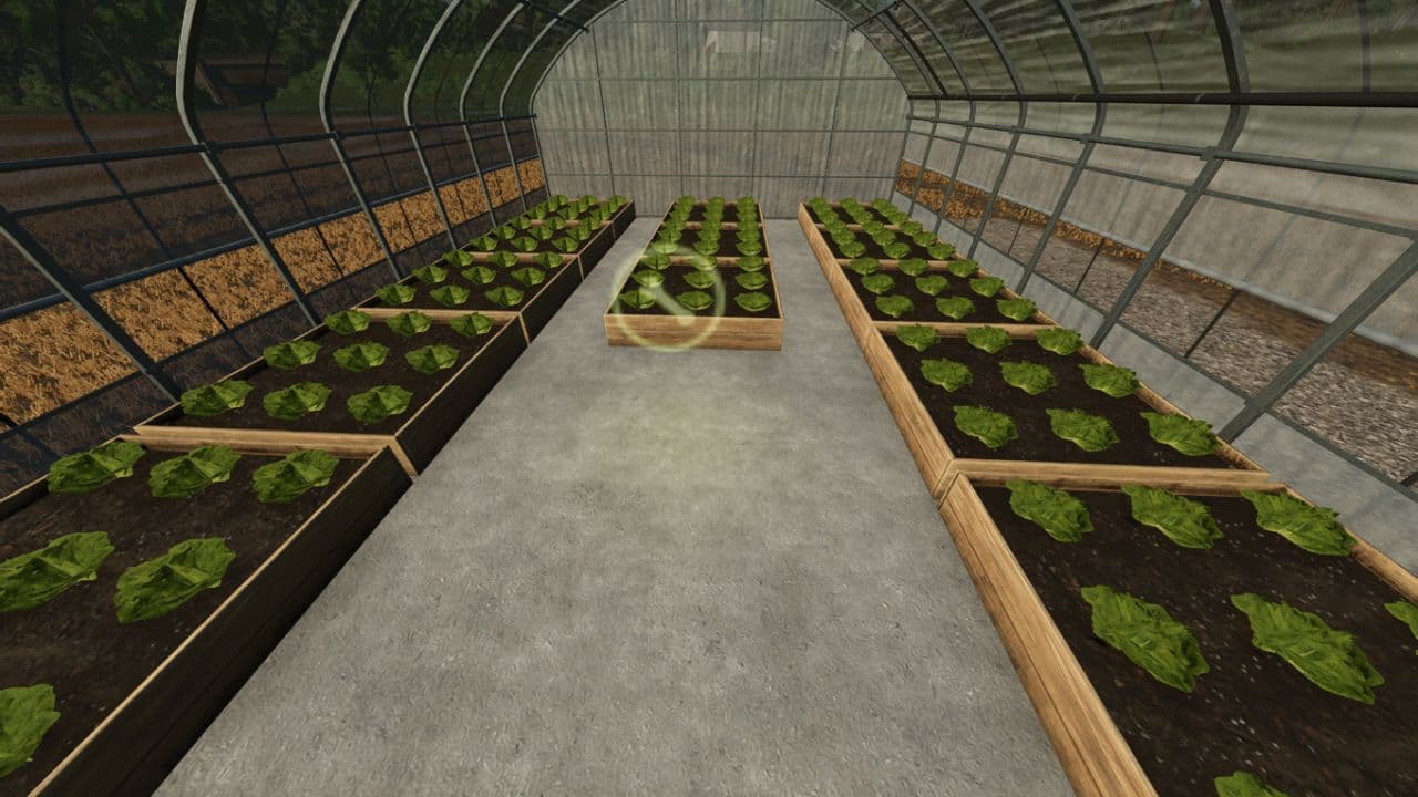 Small Greenhouses 4