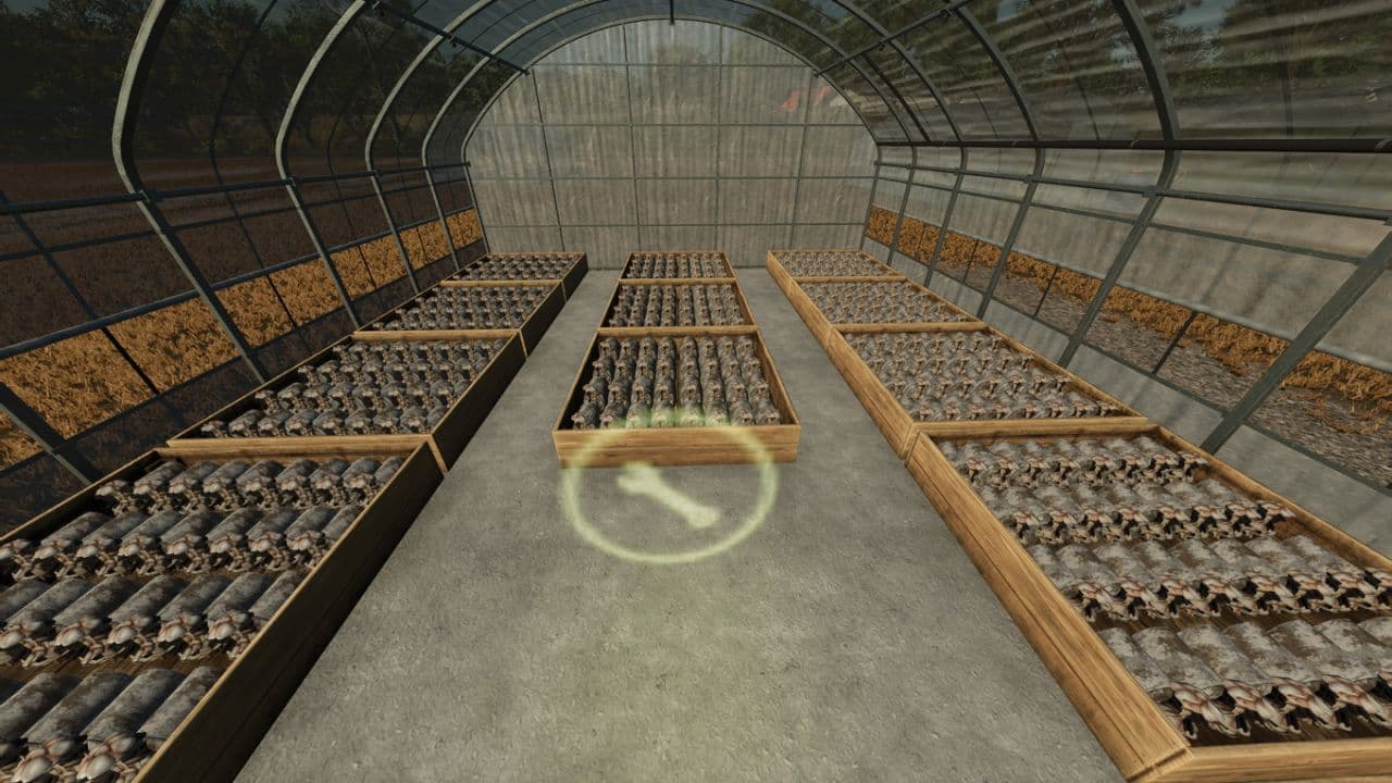 Small Greenhouses 3