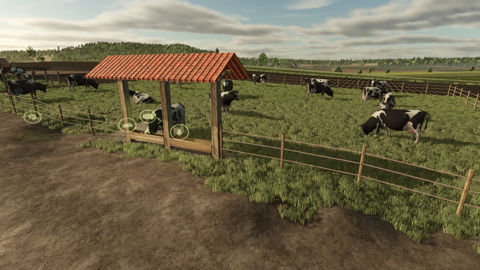 Small Pasture For Cows, Horses, And Sheep