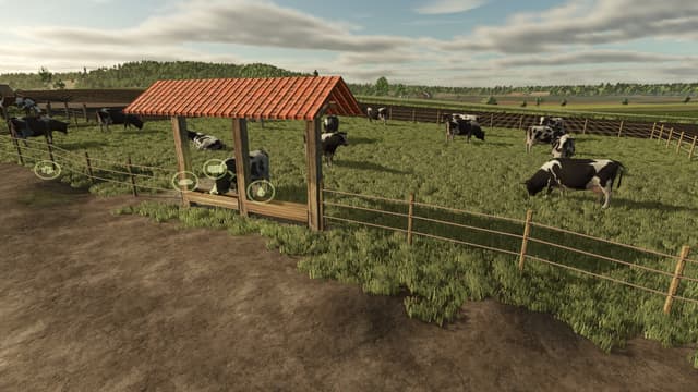 Small Pasture For Cows, Horses, And Sheep