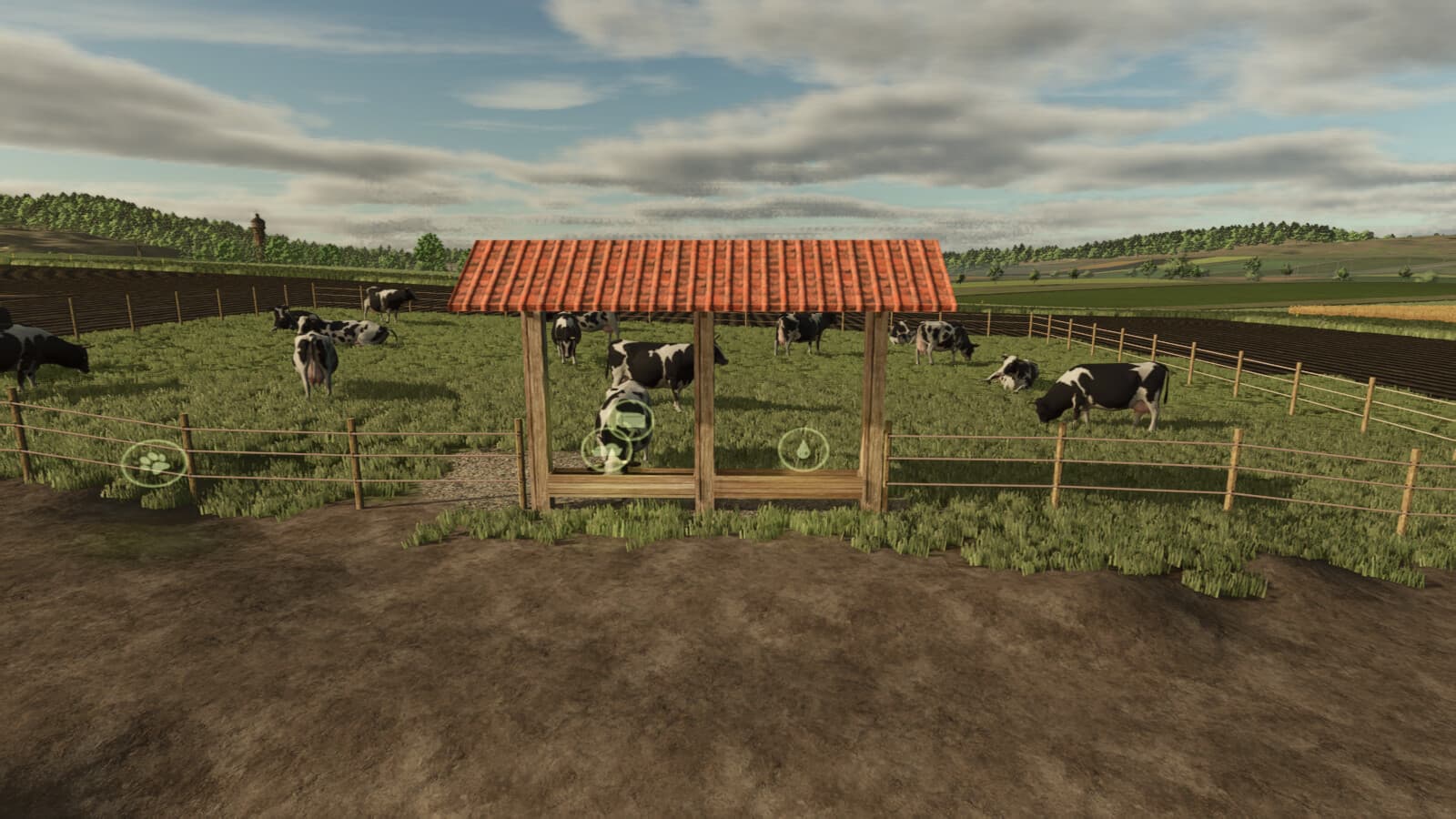 Small Pasture For Cows, Horses, And Sheep 5