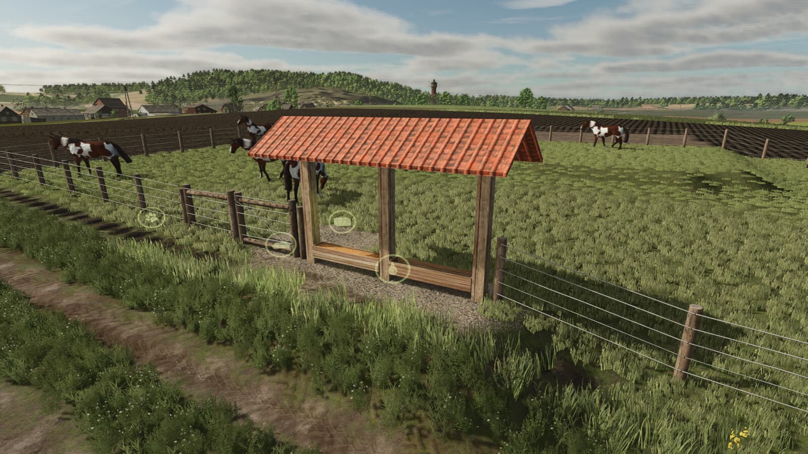 Small Pasture For Cows, Horses, And Sheep 4