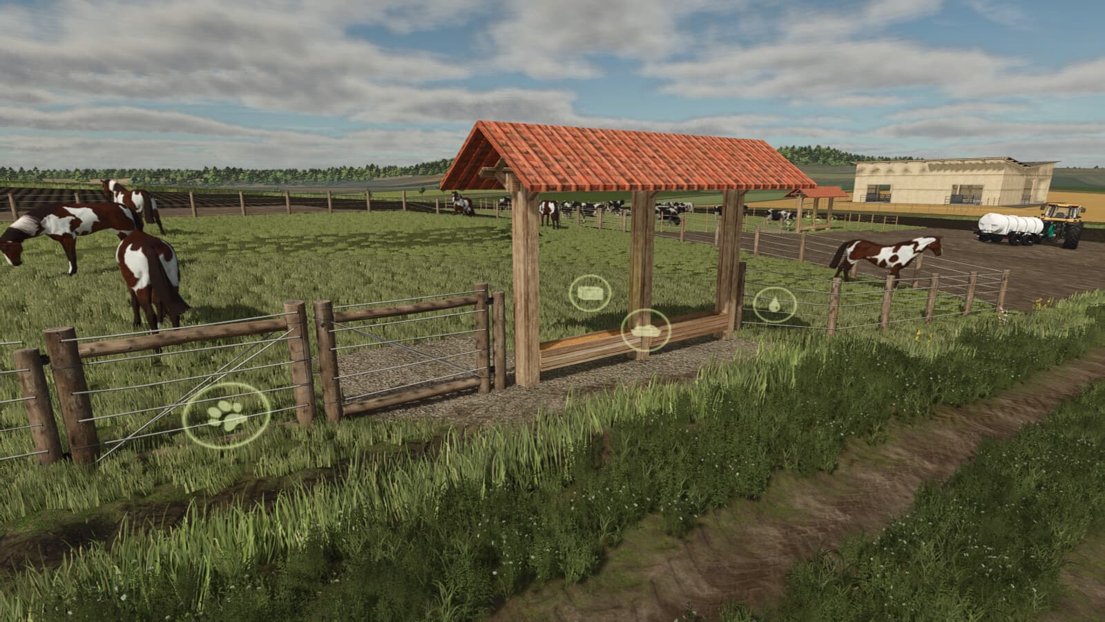 Small Pasture For Cows, Horses, And Sheep 3