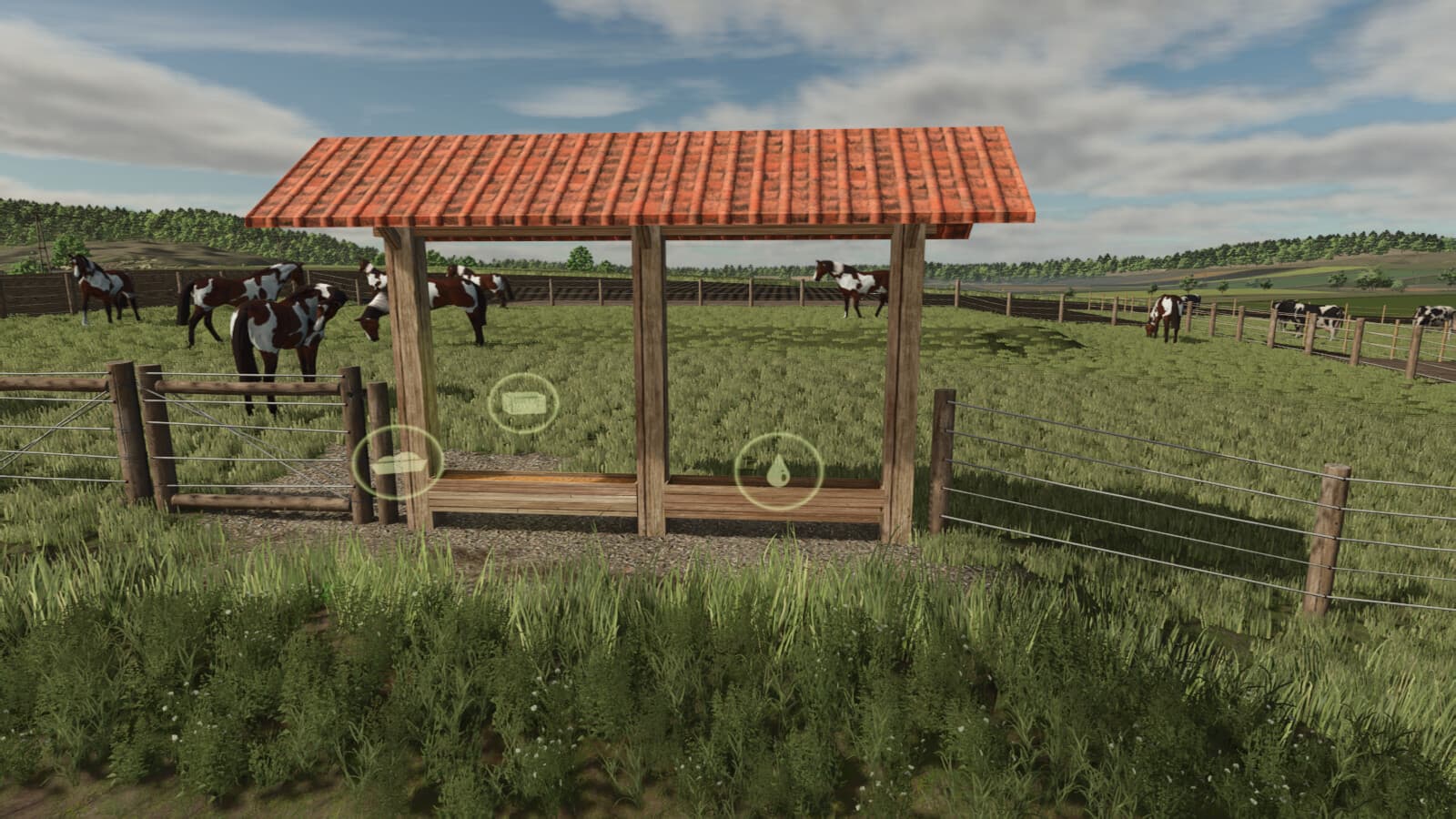 Small Pasture For Cows, Horses, And Sheep 2