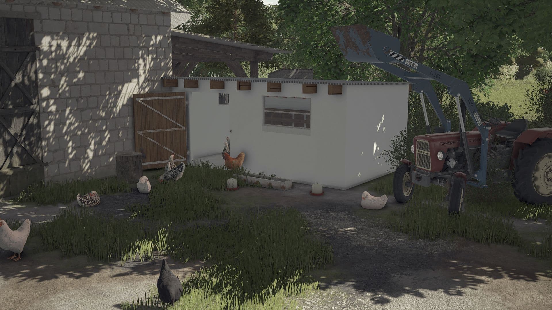 Small Renovated Chicken Coop 4