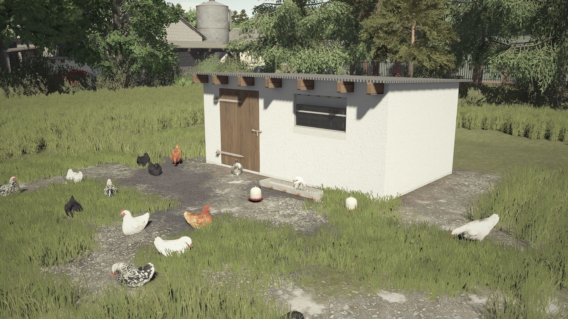 Small Renovated Chicken Coop