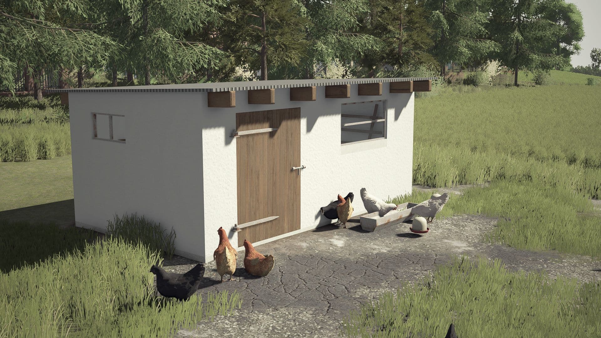 Small Renovated Chicken Coop 3