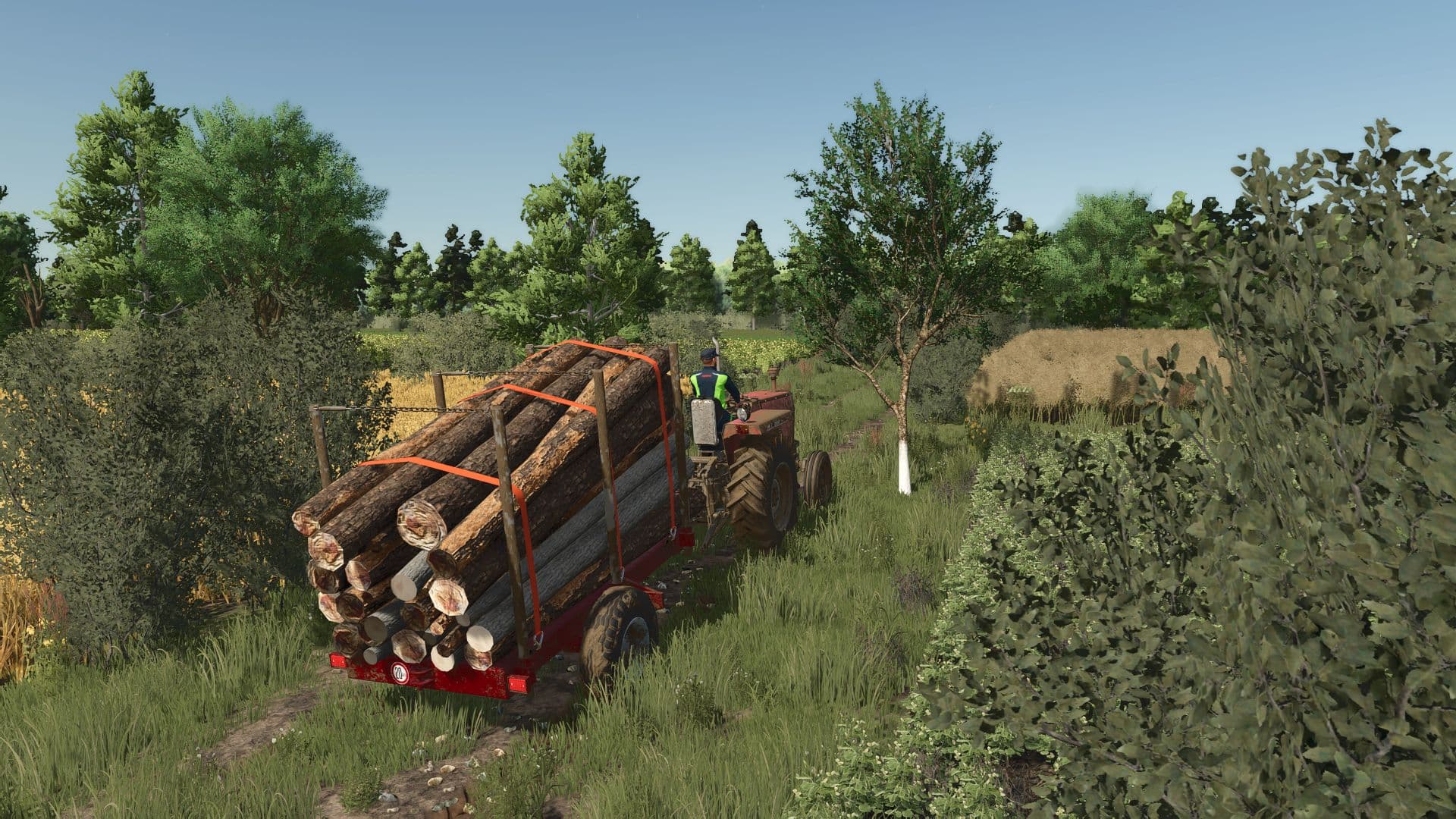 Small log transport trailer