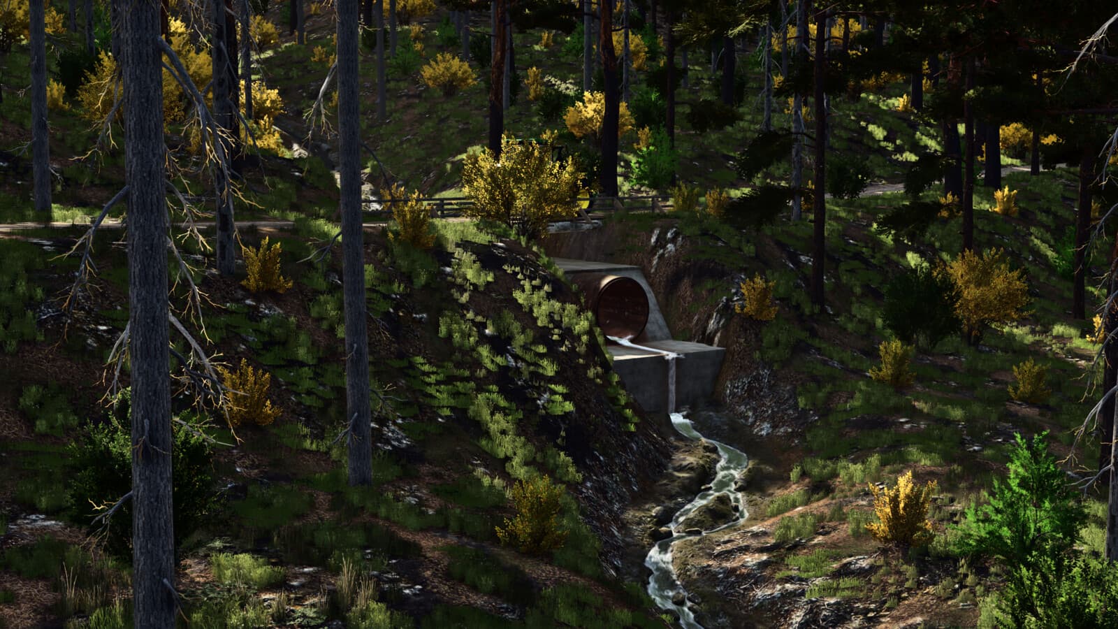 The Haut Doubs Forest 2
