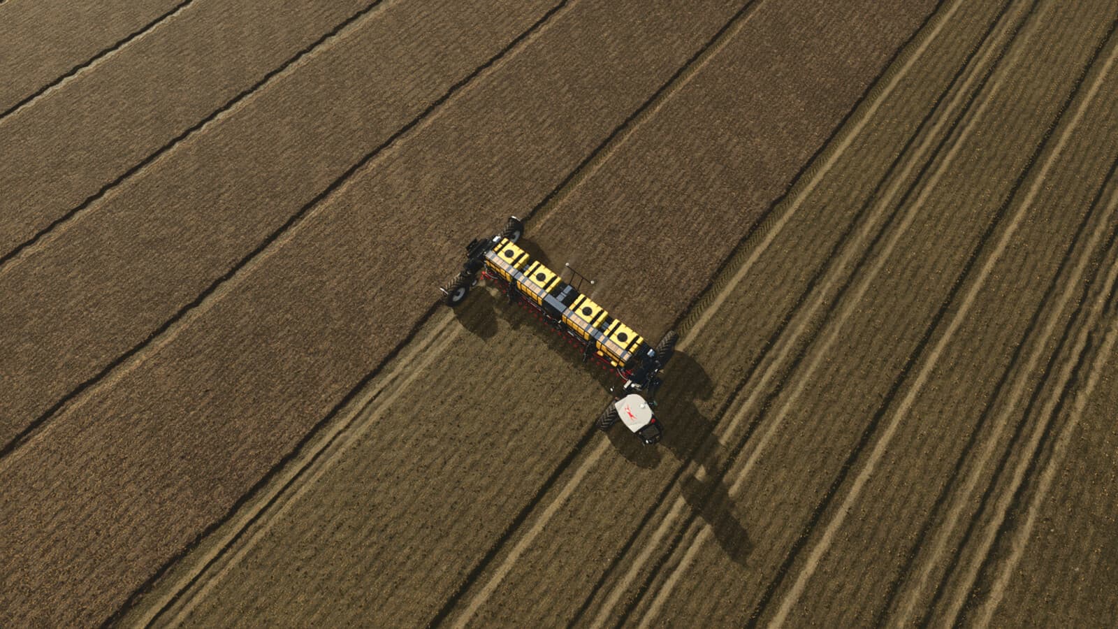 True AI Tracks: NEXAT 3