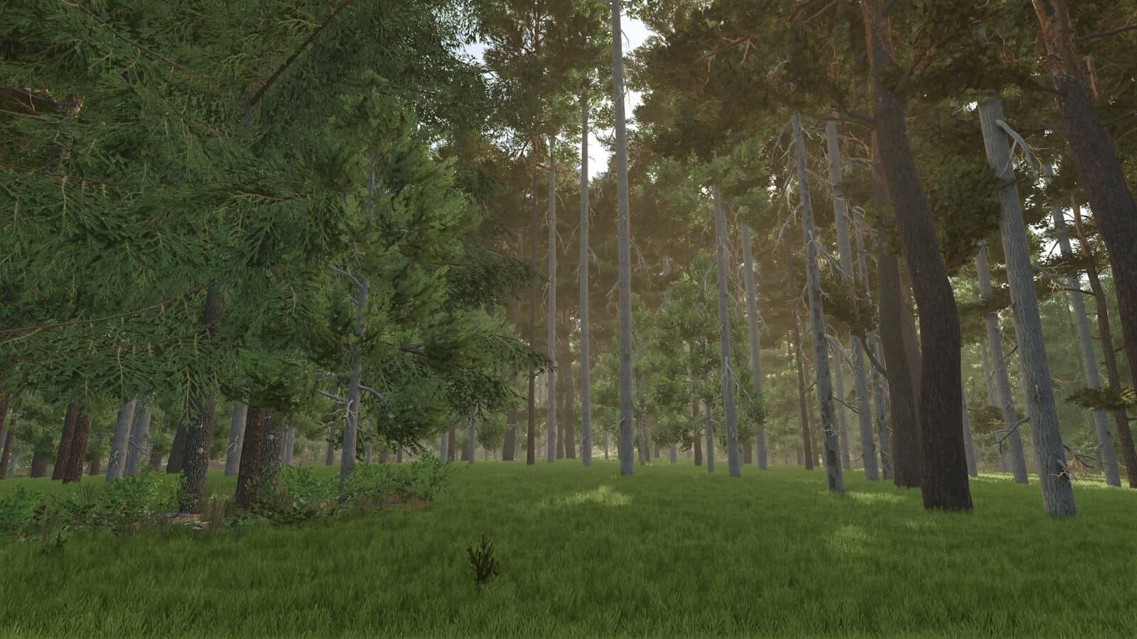 Unlimited Tree Placement 3