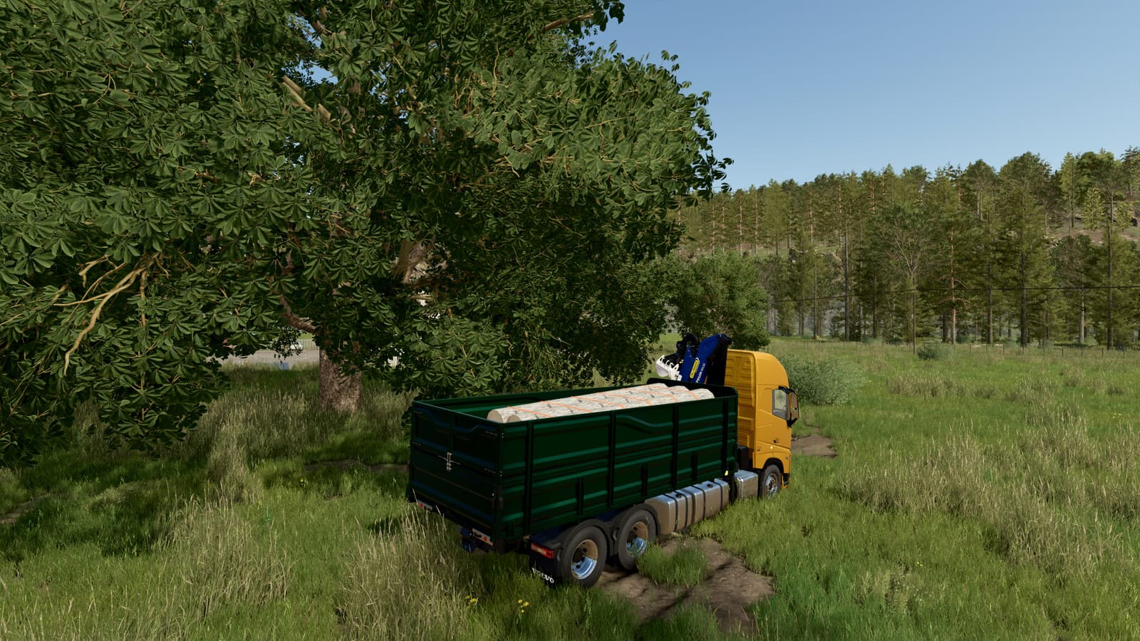VOLVO FH16 MULTICUSTOM TRUCK 3