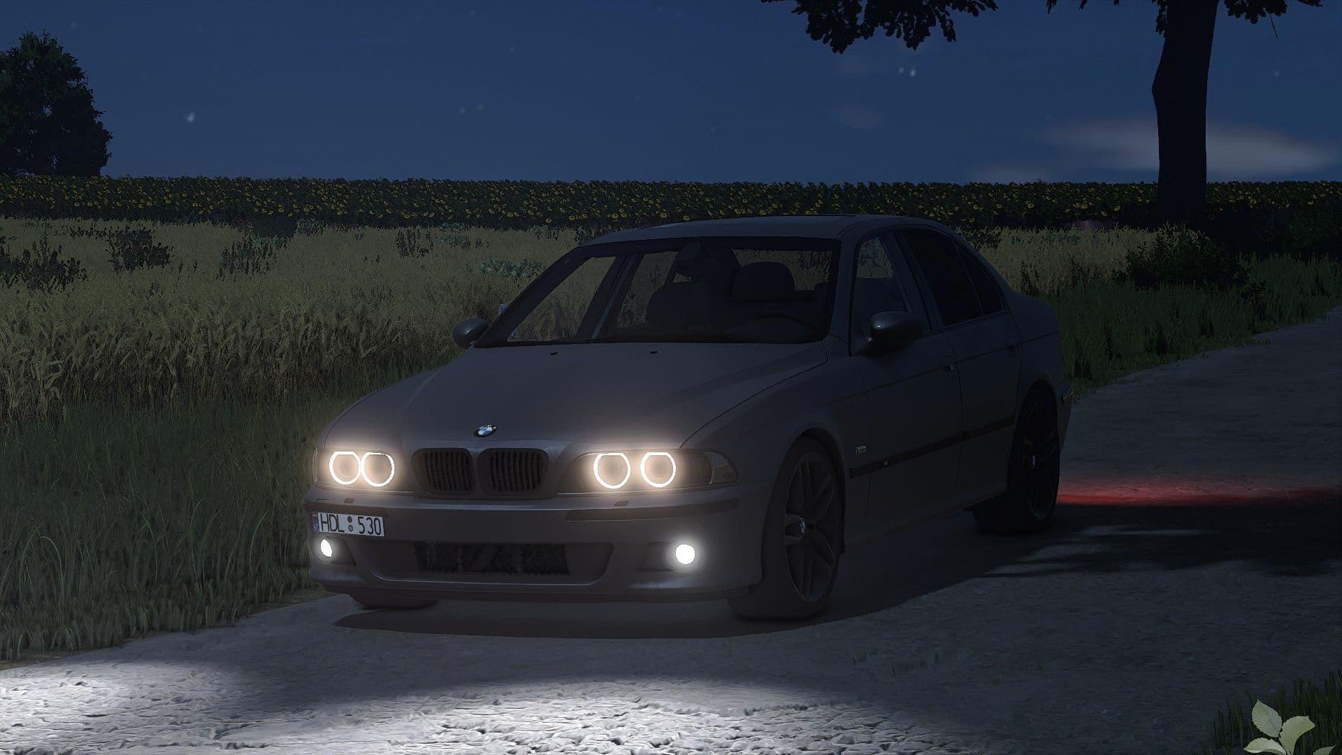 BMW E39 530D 5