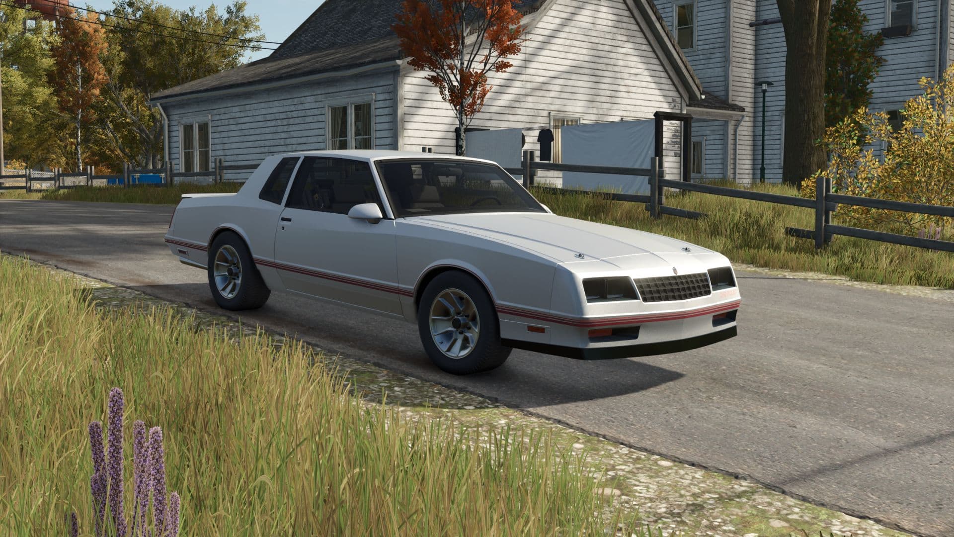 Chevrolet Monte Carlo 1987 4