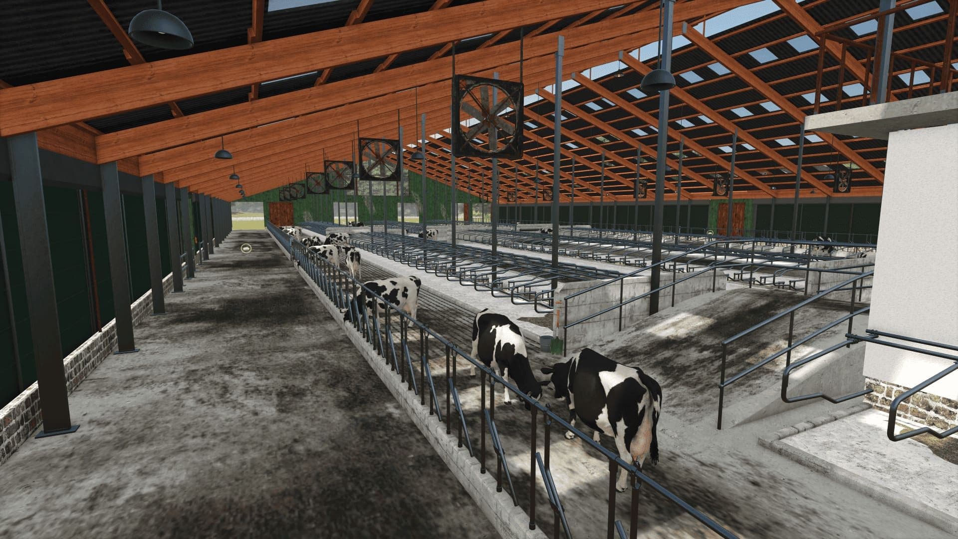 Dairy Production Farm 3