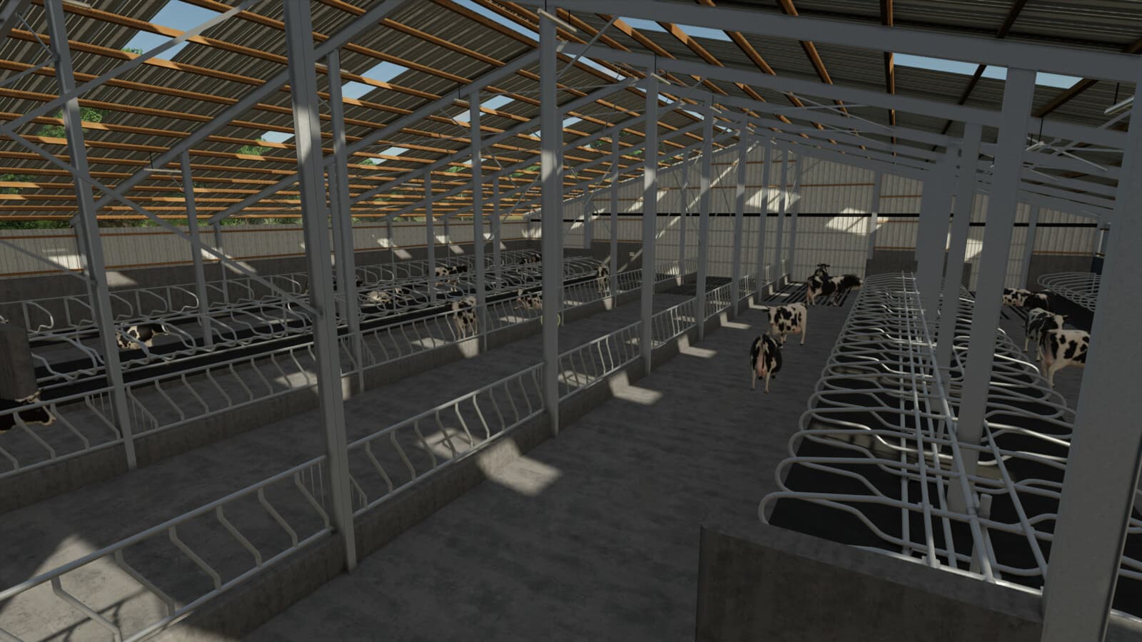 Eight Bay Double Cow Shed 3