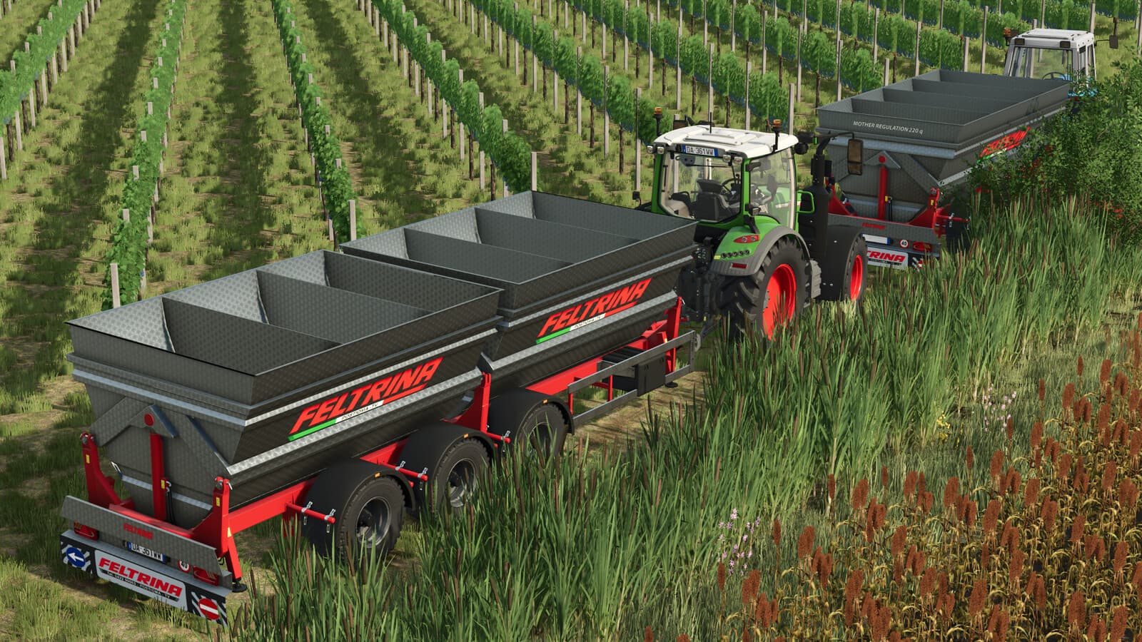 Feltrina Vineyard Series 4