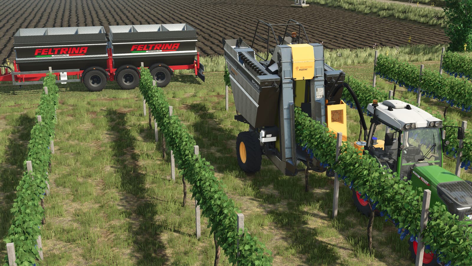Feltrina Vineyard Series 2