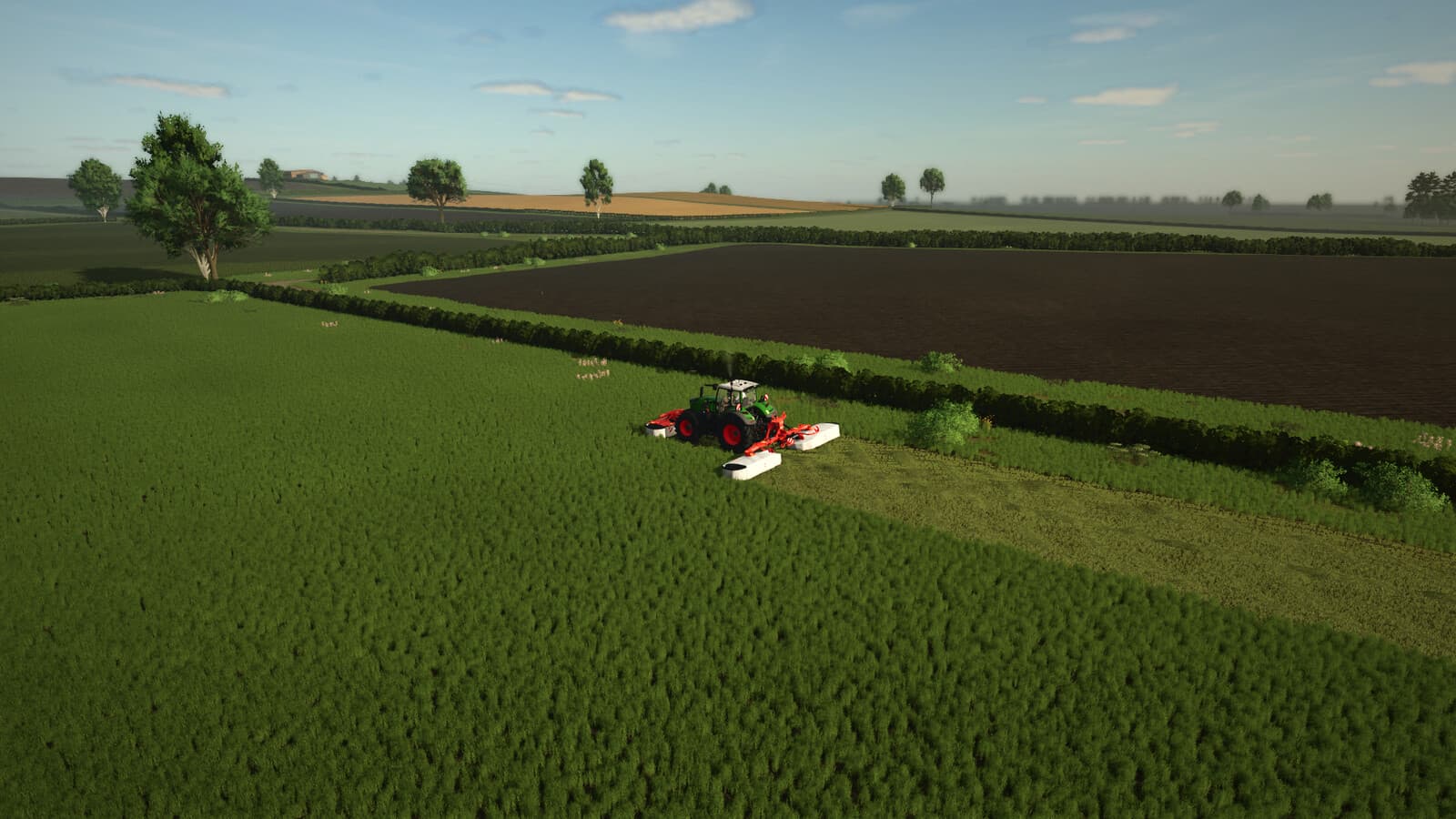 Fen Edge 2
