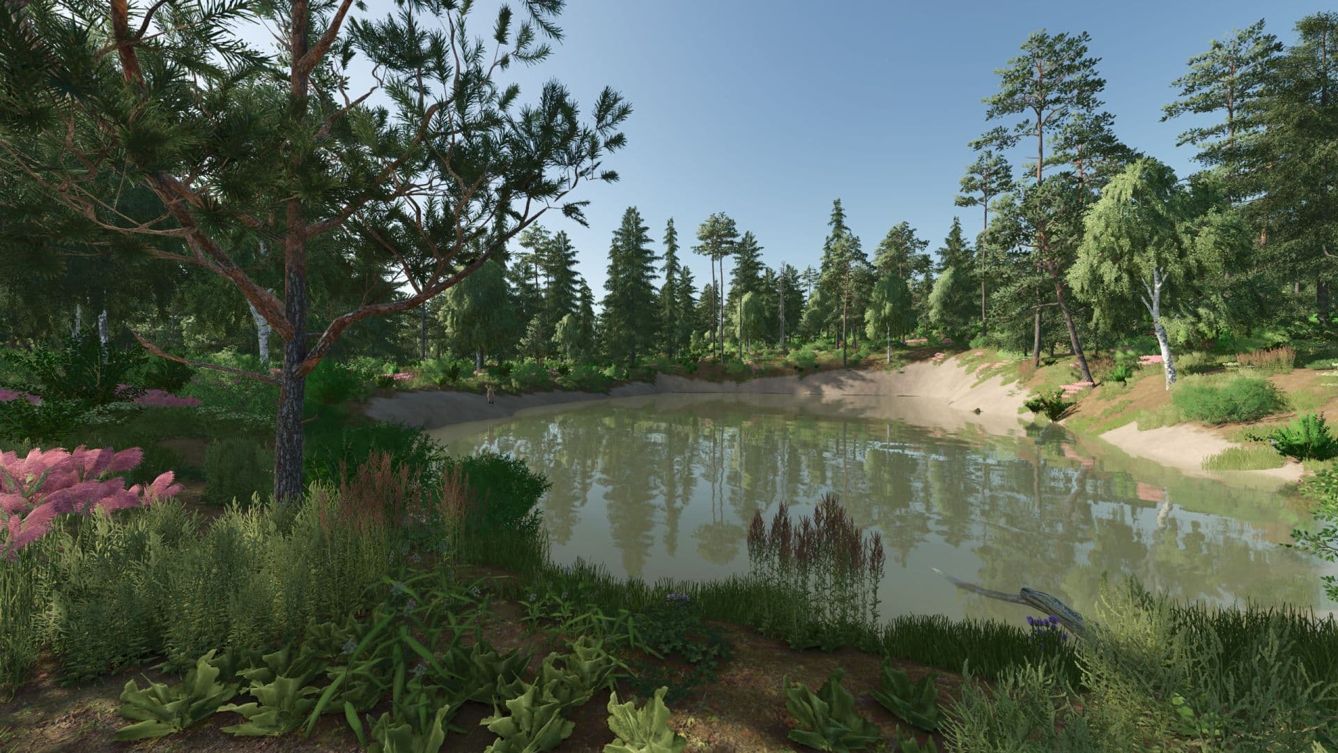 Forest Valley 6