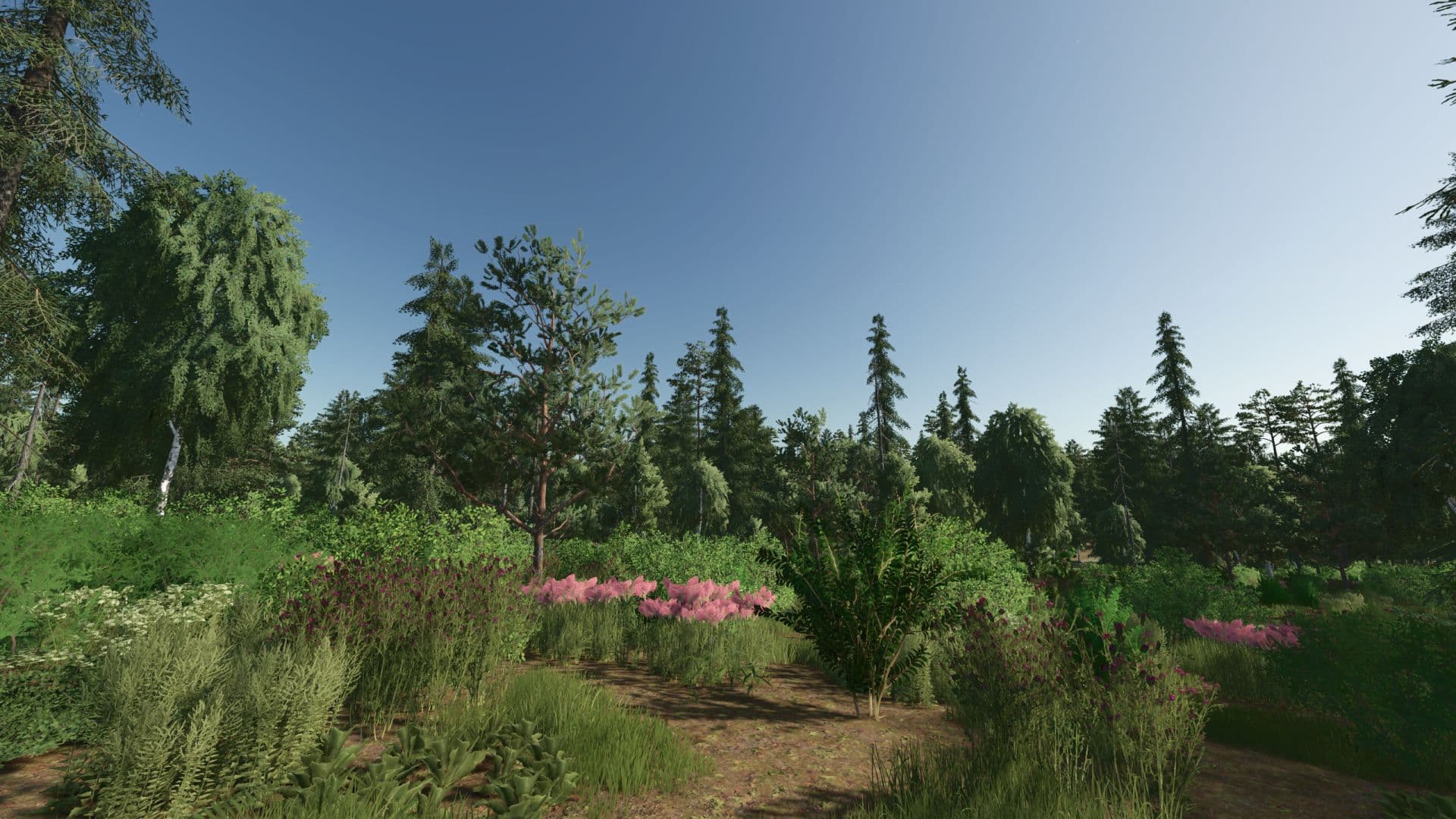 Forest Valley 4