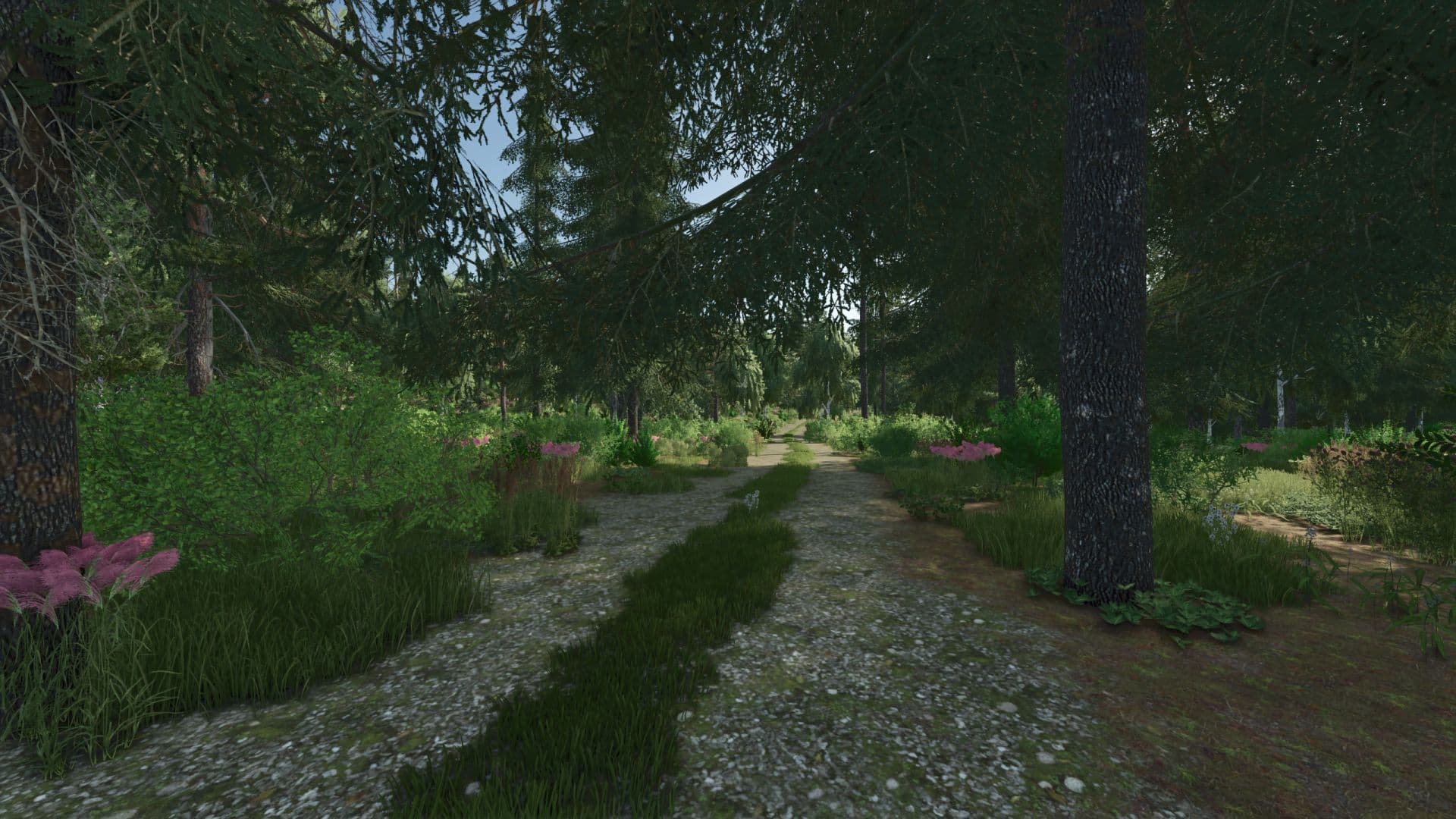 Forest Valley 2