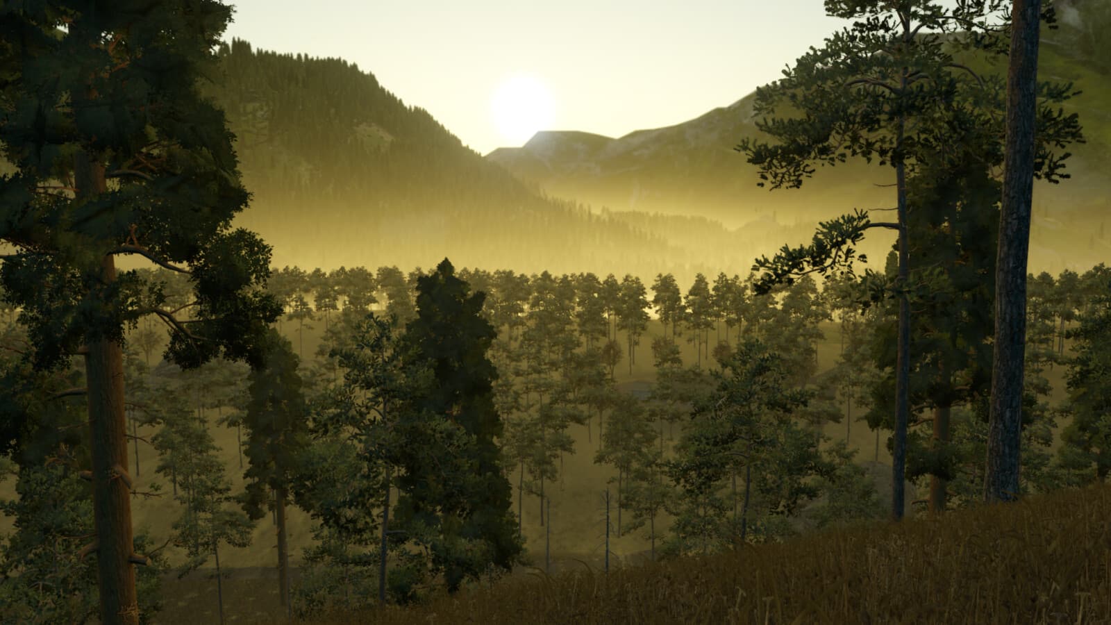 Greenwood Forest 5