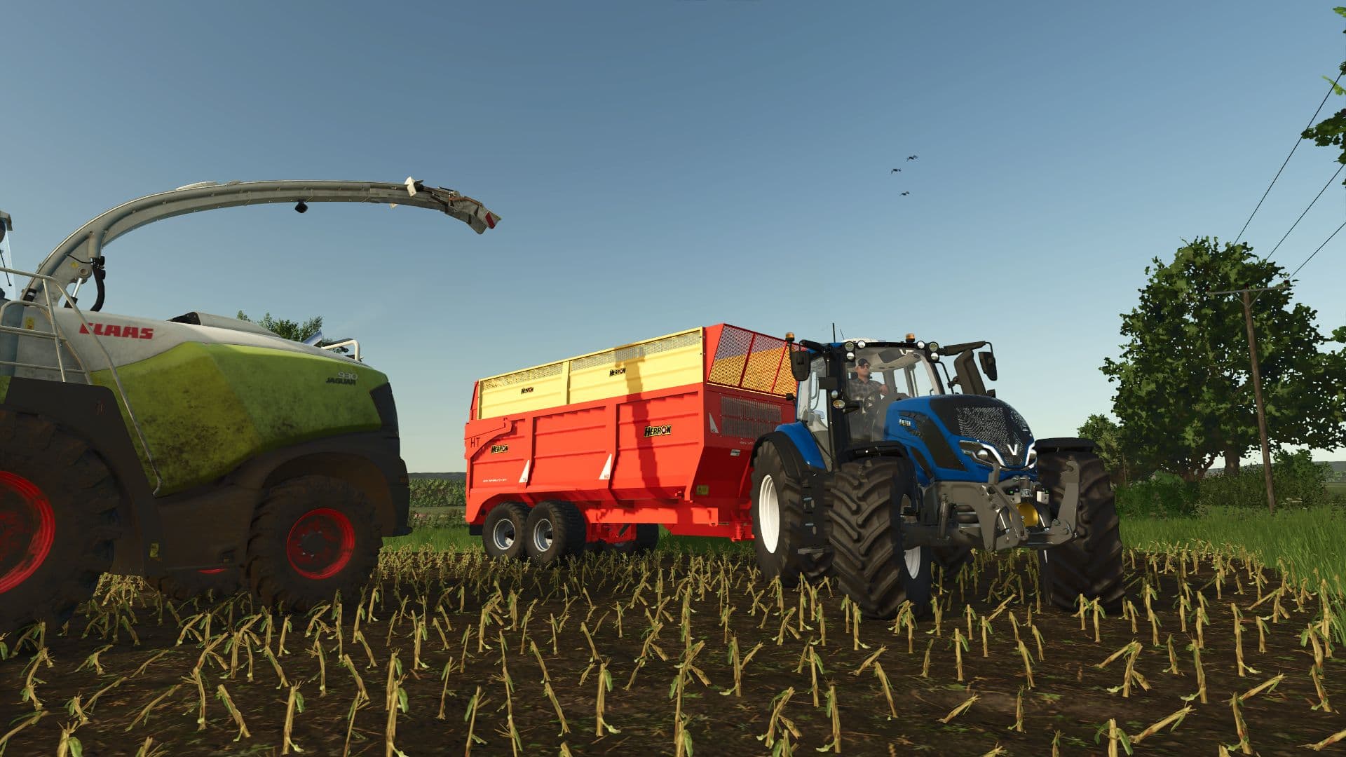 Herron H2 18T 6