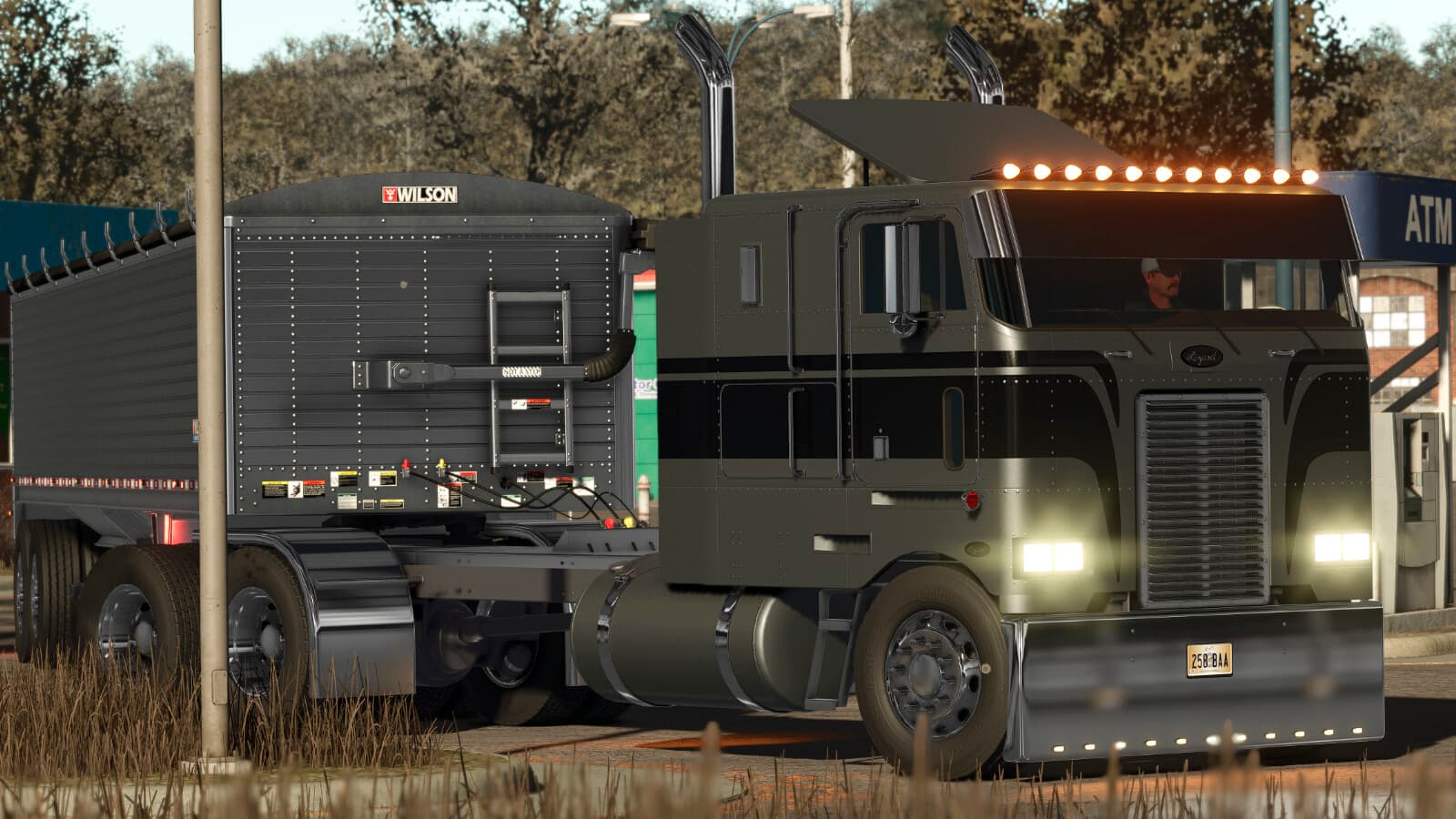 Lizard 362 4