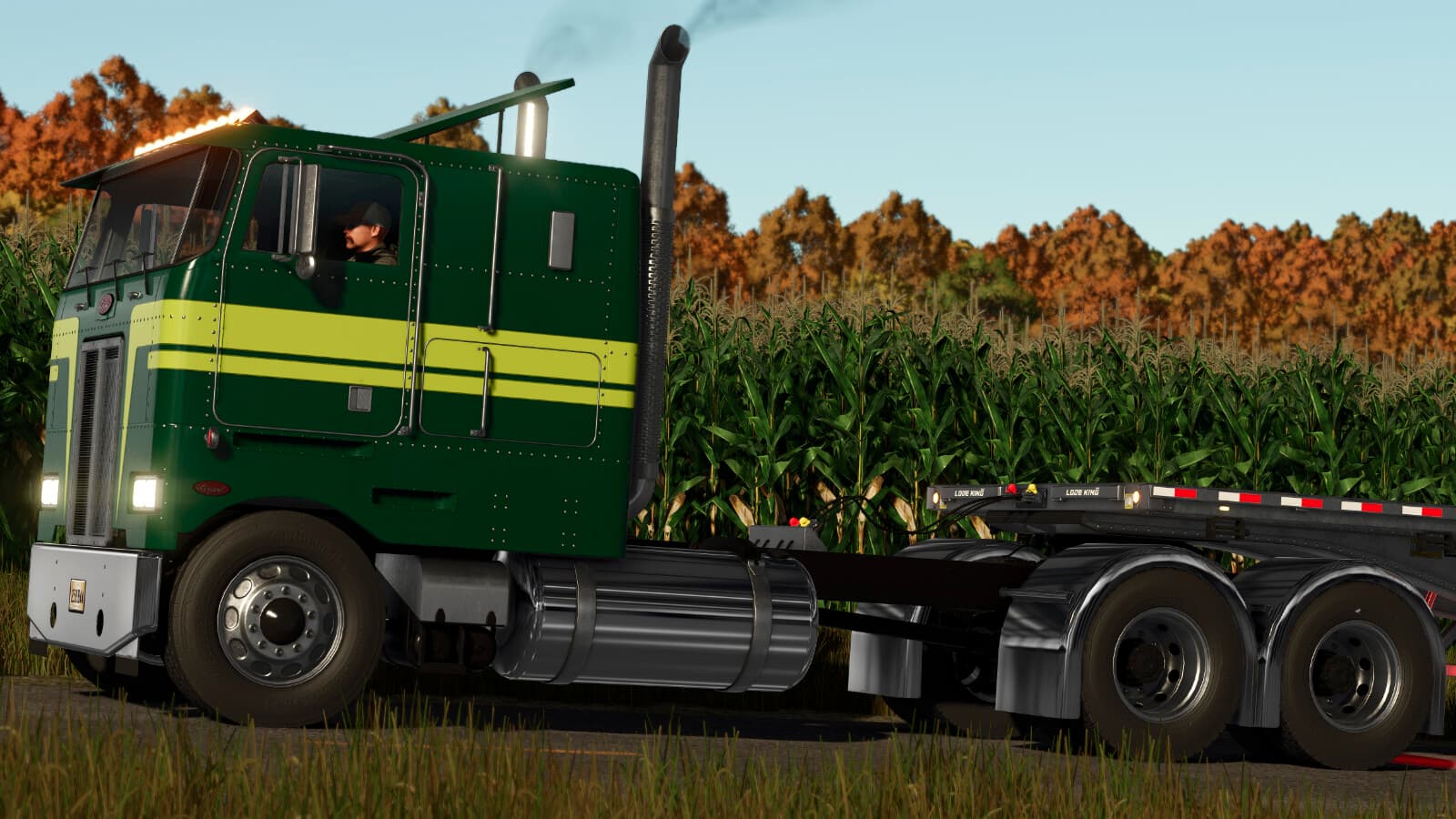 Lizard 362 2