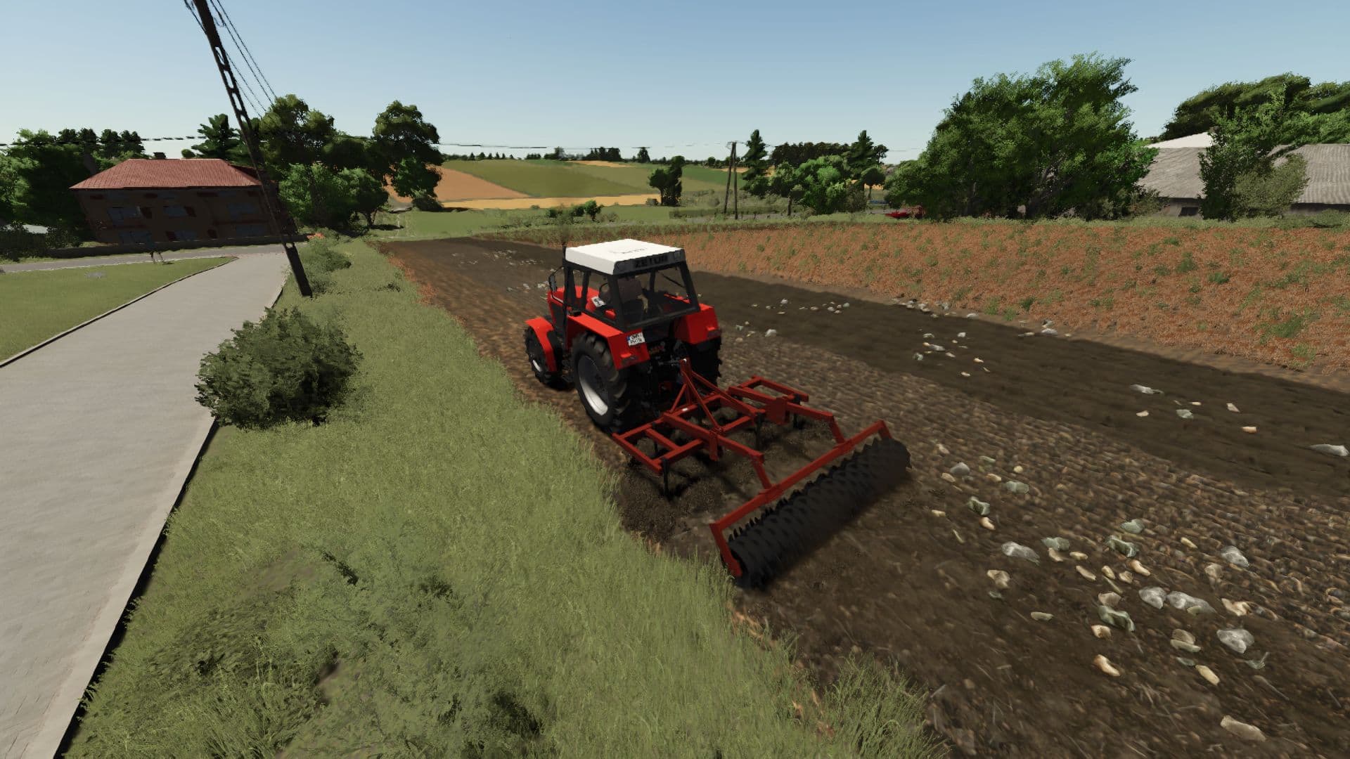 Lizard Gruber 2.7 2