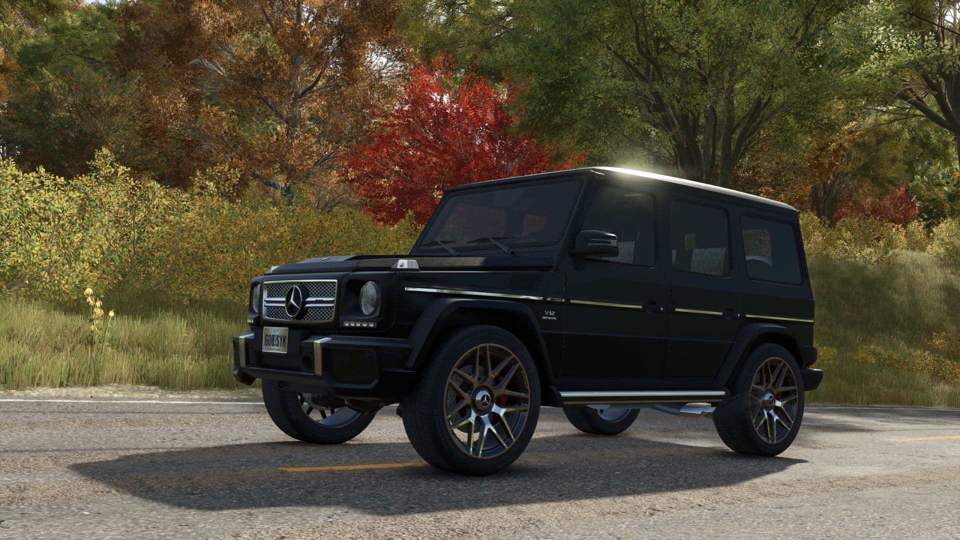 Mercedes Benz G65 AMG 5
