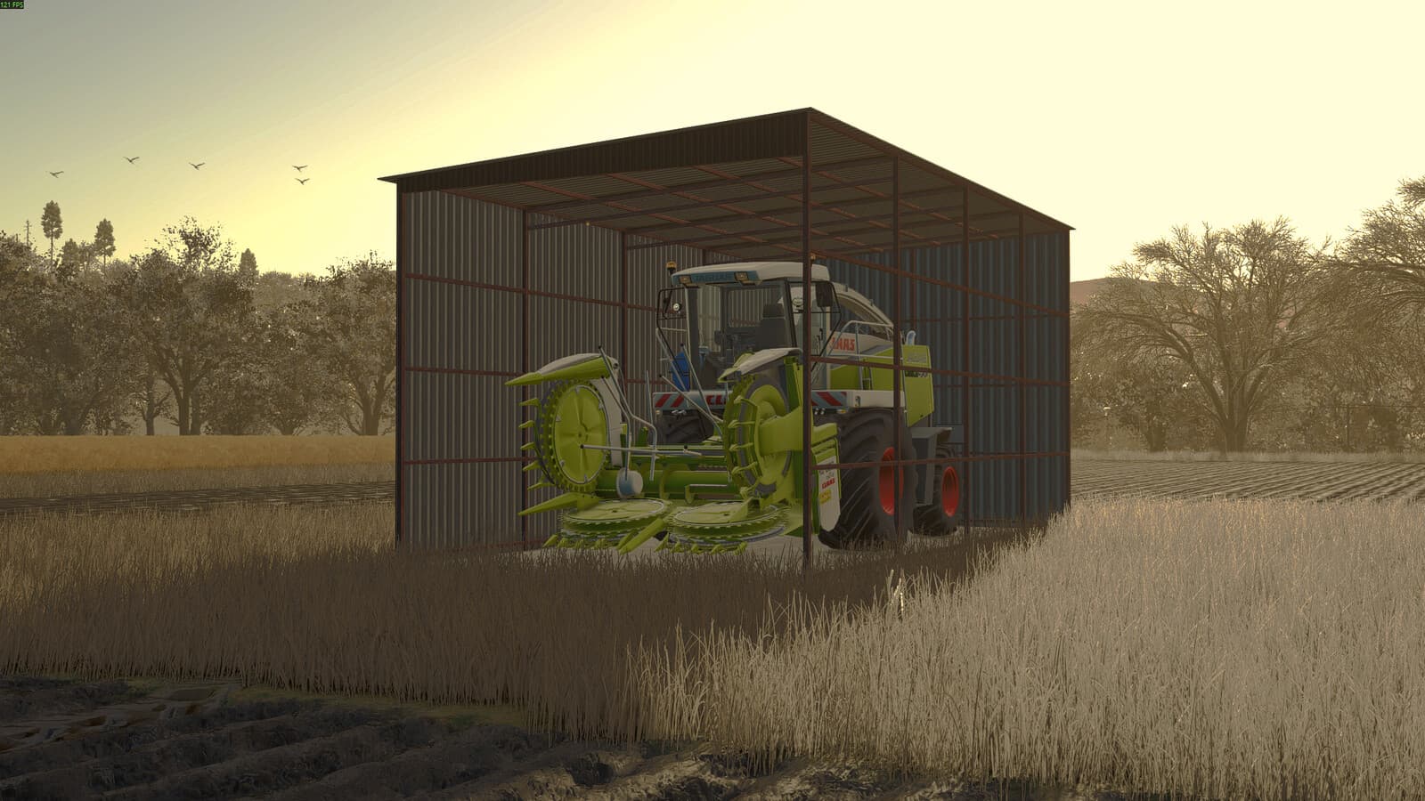 Metal Shed