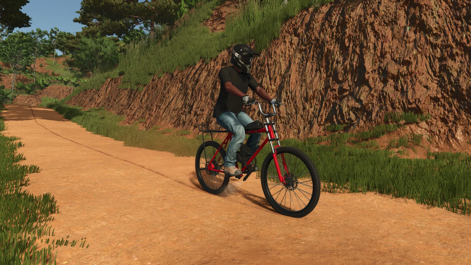 Motorized Bike 5