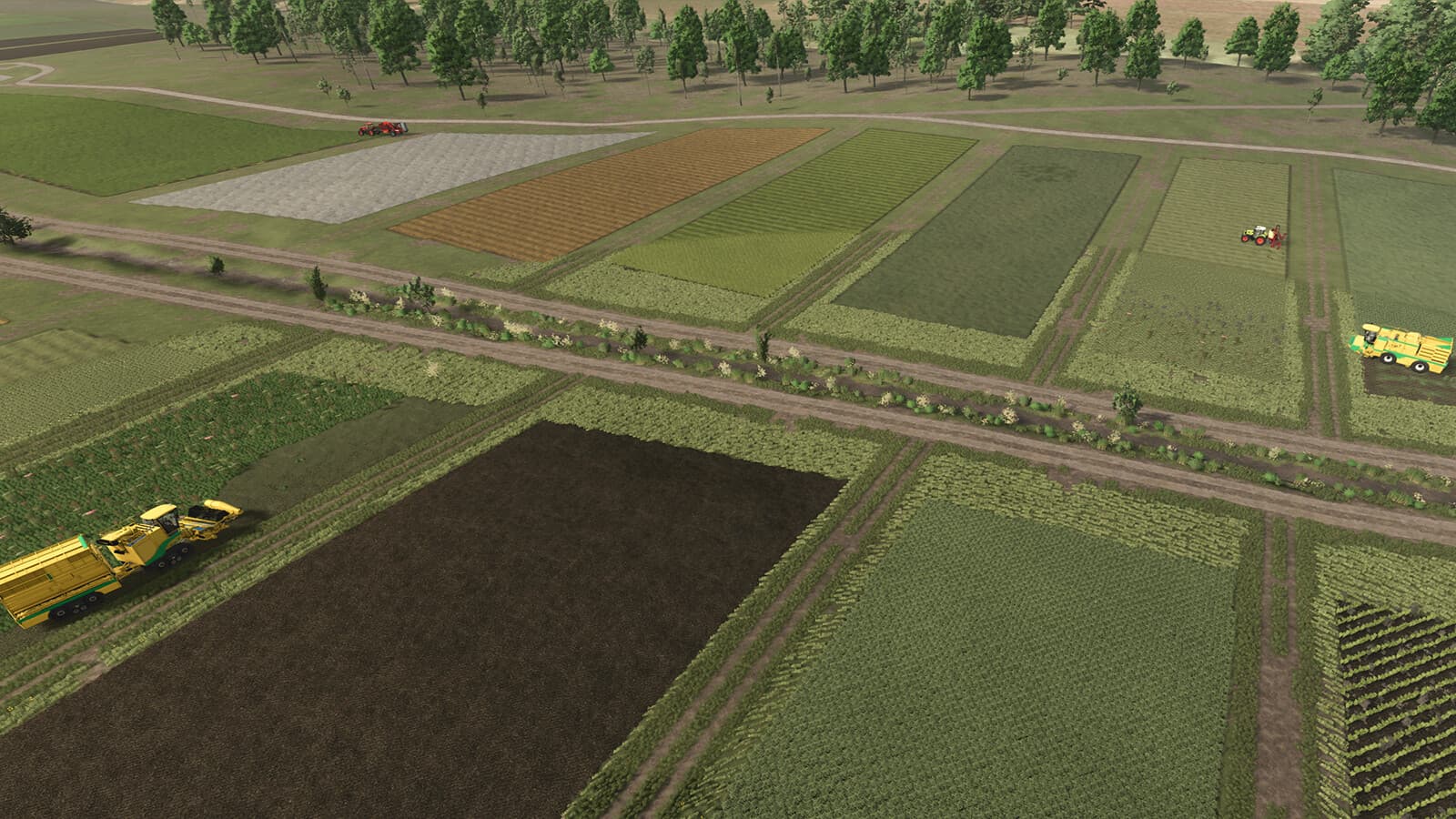 Neighbors On The Fields