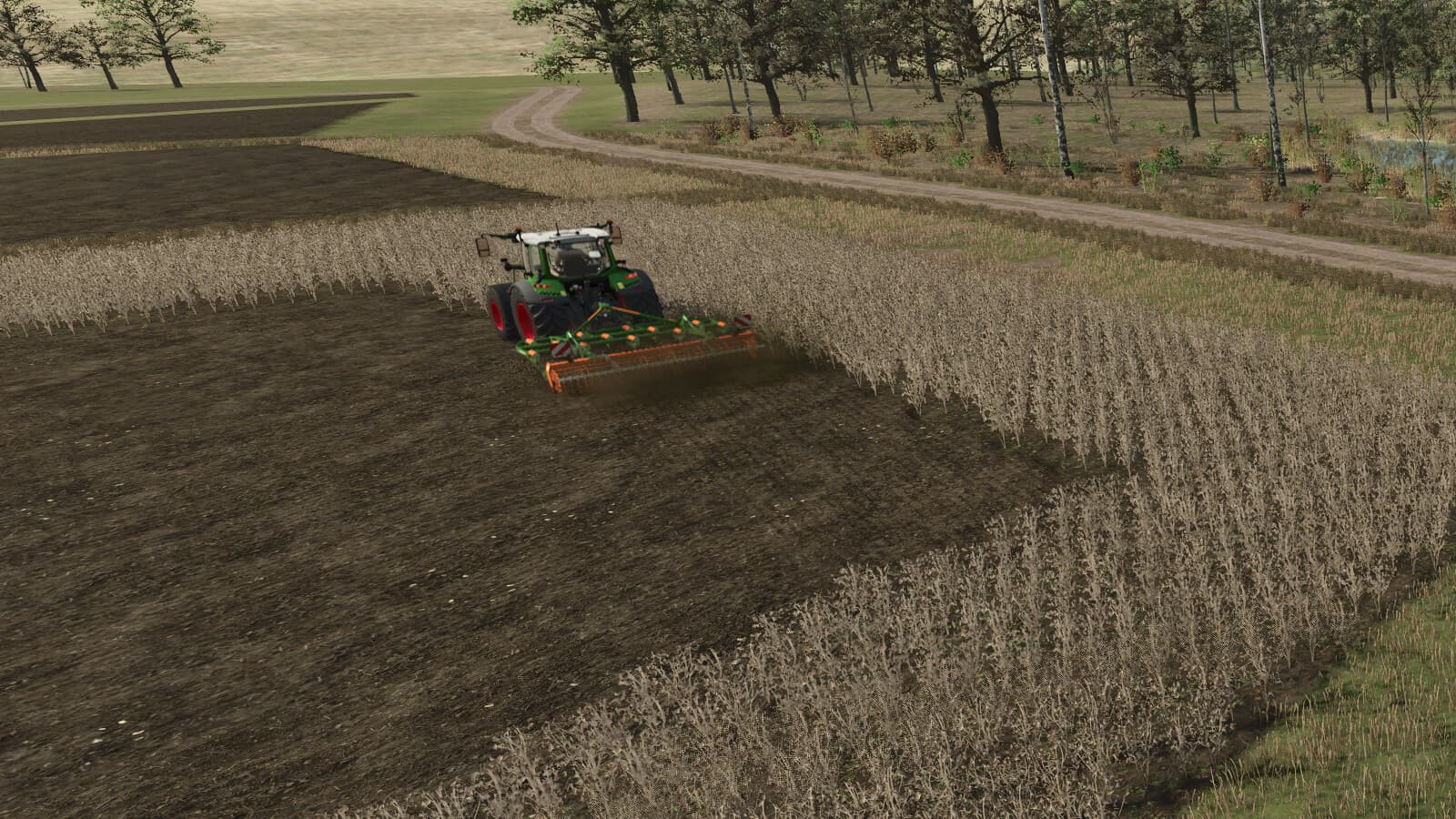 Neighbors On The Fields 3