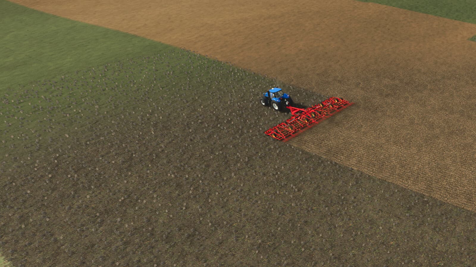 Neighbors On The Fields 2