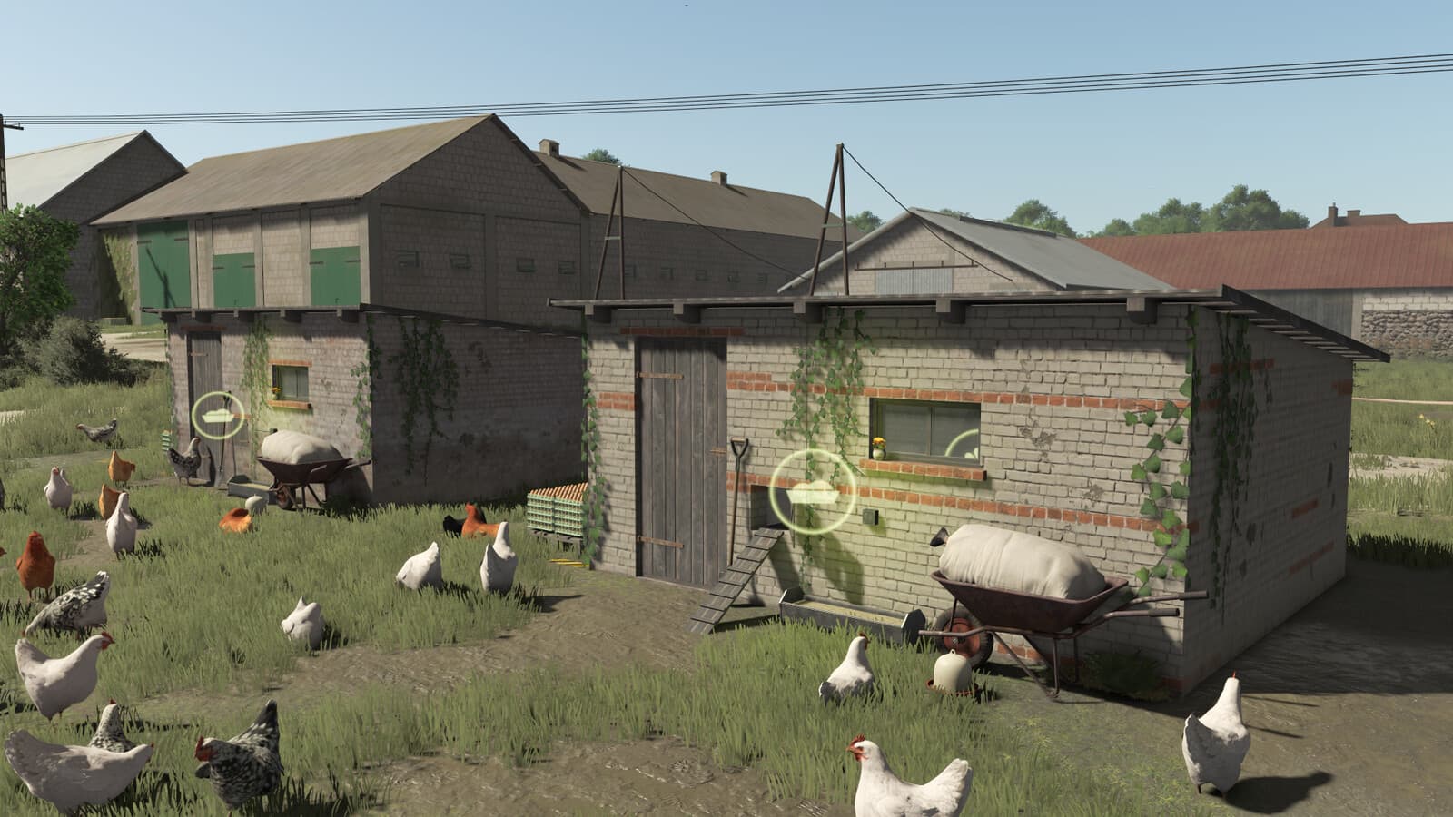 Polish Chicken Coops 5