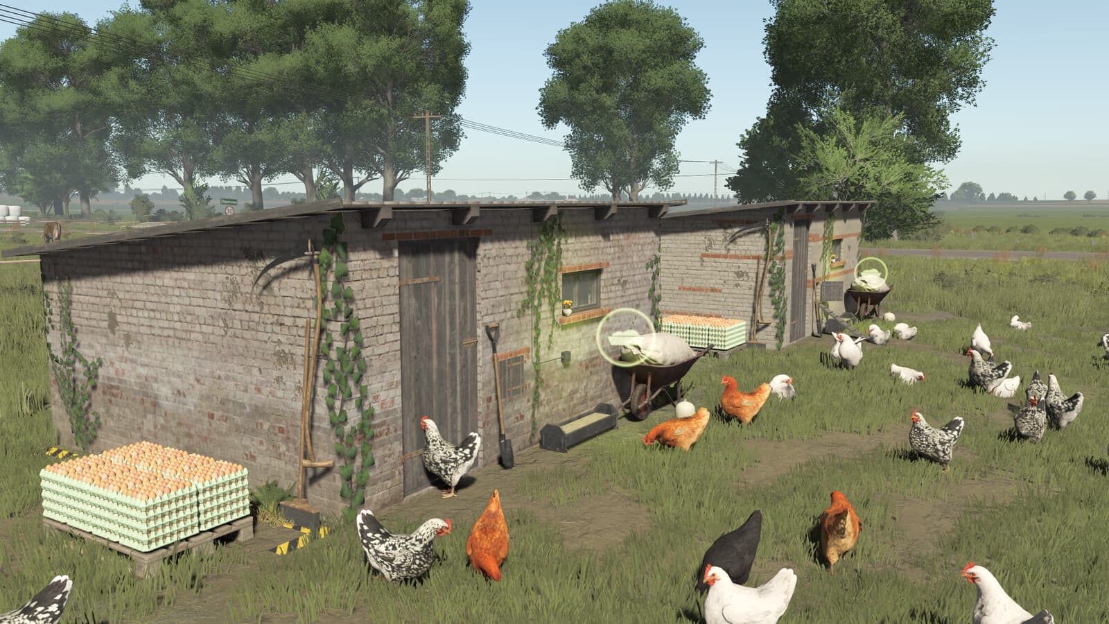 Polish Chicken Coops 3