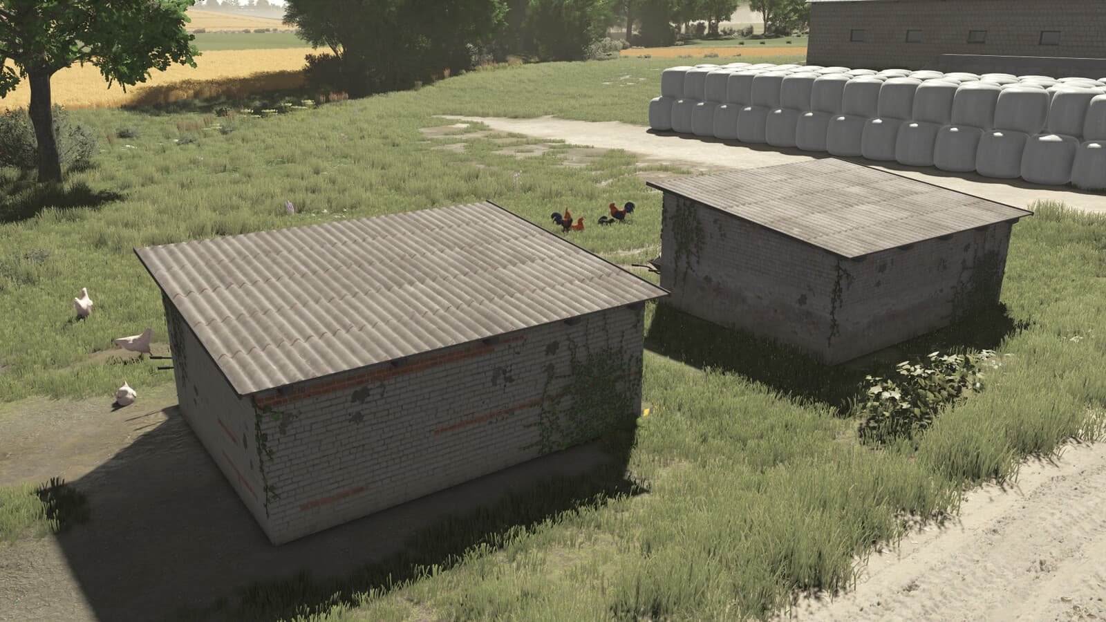 Polish Chicken Coops 2