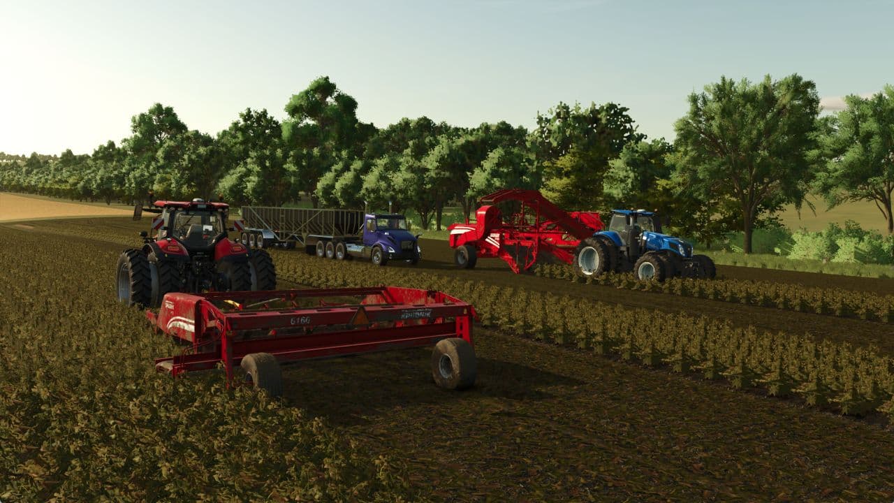 Potato harvesters