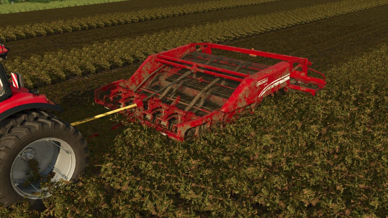 Potato harvesters 4