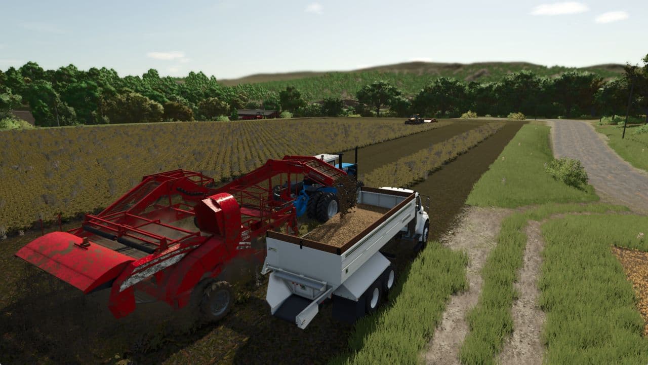 Potato harvesters 3