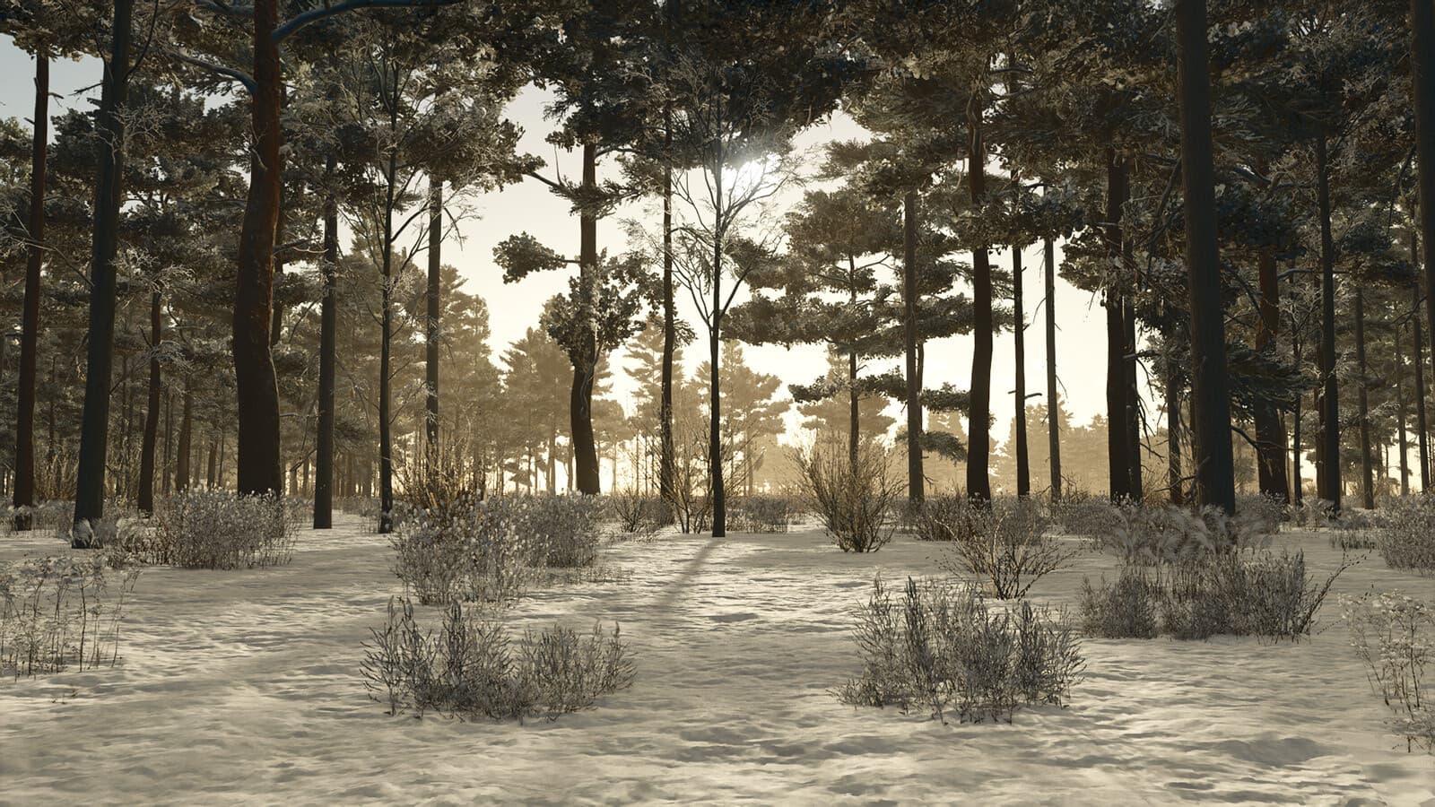 Ronîda Island 4x 3
