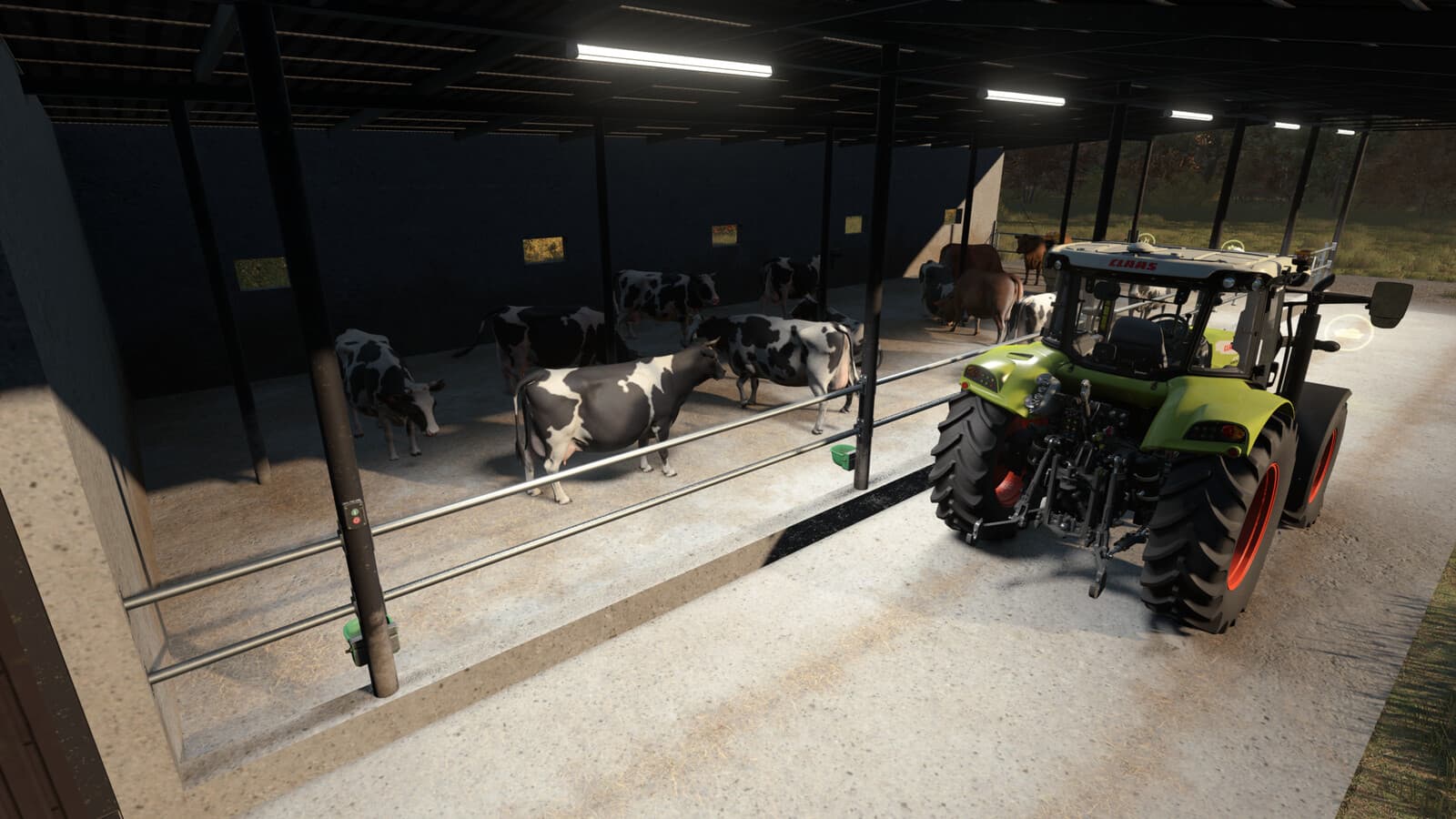 Shed Cow Barn 4