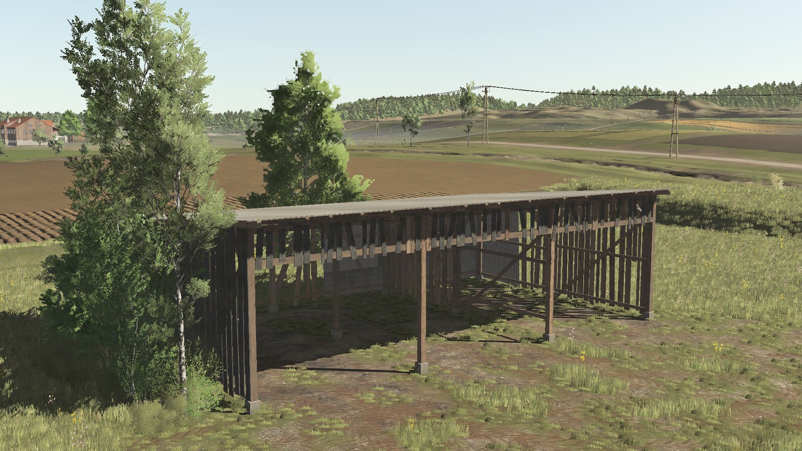 Shed 6