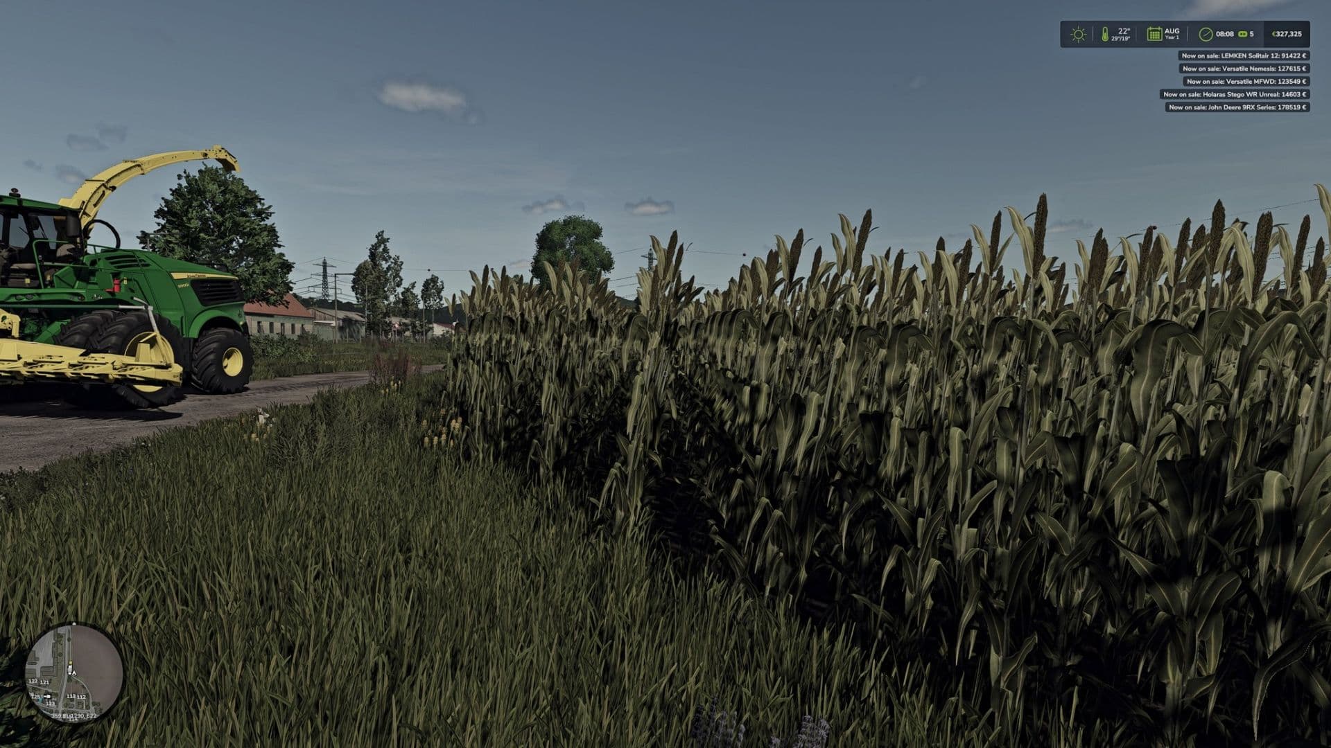 Silage Sorghum